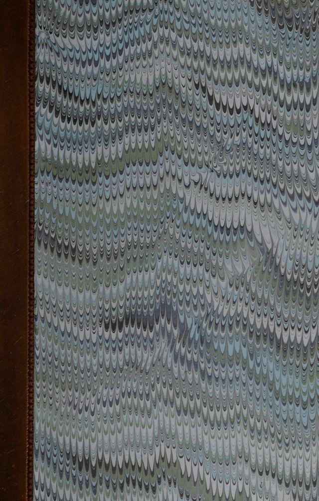 No text description is available for this image