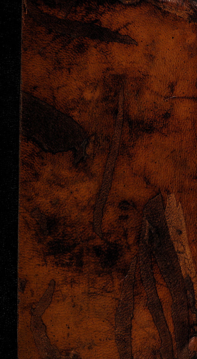 digitised image 1