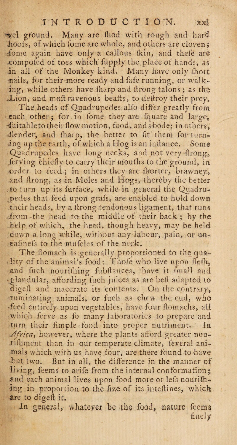 •^vel ground. Many are fhod with rough and hard, -hoofs, of which fome are whole, and others are cloven! dome again have only a callous Ikin, and thefe are xompofed of toes which fupply the place of hands, as in all of the Monkey kind. Many have only ihort nails, for their more ready and fafe running, or walk¬ ing, while others have fharp and ftrong talons; as tlva Xion, and moil ravenous beafts, to deftroy their prey. The heads of Quadrupedes alfo differ greatly from each other; for in fome they are fquare and large* Suitable to their flow motion, food, andabode; in others, Tender, and fharp, the better to fit them for turn¬ ing up the earth, of which a Hog is an inftance. Some Quadrupedes have long necks, and not very ftrong.* ferving chiefly to carry their mouths to the ground, in -order to feed; in others they are fkorter, brawney* .and ftrong, as 'in Moles and Hogs, thereby the better to turn up its furface, while in general the Quadru¬ pedes that feed upon grafs, are enabled to hold down their heads, by a ftrong tendonous ligament, that runs Trom -the head to; the middle of their back ; by the help of which, the head, though heavy, may be held down a long while, without any labour, pain, or un- eafinefs to the mufcles of the neck. The ftomach is generally proportioned to the qua¬ lity of the animal’s food: Thofe who live upon flefh, and fuch nourilhing fubftances, :have it fmall and glandular, affording fuch juices as are bell adapted to digeft and macerate its contents. On the contrary, ruminating animals, or fuch as chew the cud, who Teed entirely upon vegetables, have four flomachs, all which Terve as fo many laboratories to prepare and turn their fimple food into proper nutriment. In ylfrica^ however, where the plants afford greater nou- riftiment than in our temperate climate, fevera! ani¬ mals which with us have four, are there found to have but two. But in all, the difference in the manner of living, feems to arife from the internal conformation; .and each animal lives upon food more or lefs nourifh- ing in proportion to the fize of its inteftines, which are to digeft it. in general, whatever be the food, nature feema finely