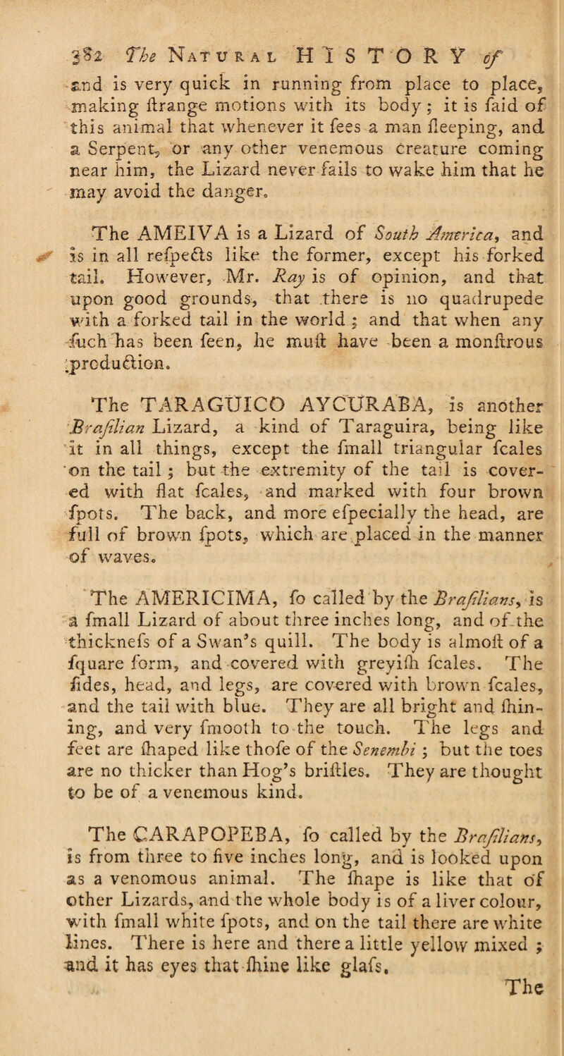 and is very quick in running from place to place, making ftrange motions with its body: it is faid of this animal that whenever it fees a man deeping, and a Serpent, or any other venemous creature coming near him, the Lizard never fails to wake him that he may avoid the danger. The AMEIVA is a Lizard of South America, and is in all refpedls like the former, except his forked tail. However, Mr. Ray is of opinion, and that upon good grounds, that there is no quadrupede with a forked tail in the world ; and that when any fuch has been feen, he muft have been a monftrous rprodu&amp;ien. The TARAGUICO AYCURABA, is another Brafilian Lizard, a kind of Taraguira, being like It in all things, except the fmall triangular fcales on the tail ; but the extremity of the tail is cover¬ ed with flat fcales, and marked with four brown fpots. The back, and more efpecially the head, are full of brown fpots, which are placed in the manner of waves. The AMERICIMA, fo called by the Brafilians, is a fmall Lizard of about three inches long, and of the thicknefs of a Swan’s quill. The body is almofl of a fquare form, and covered with greyifli fcales. The iides, head, and legs, are covered with brown fcales, and the tail with blue. They are all bright and Alin¬ ing, and very fmooth to the touch. The legs and feet are Aiaped like thofe of the Senemhi ; but the toes are no thicker than Hog’s briftles. They are thought to be of a venemous kind. The CARAPOPEBA, fo called by the Brafilians, is from three to five inches long, and is looked upon as a venomous animal. The lhape is like that of other Lizards, and the whole body is of a liver colour, with fmall white fpots, and on the tail there are white lines. There is here and there a little yellow mixed ; ;and it has eyes that-Aline like glafs.