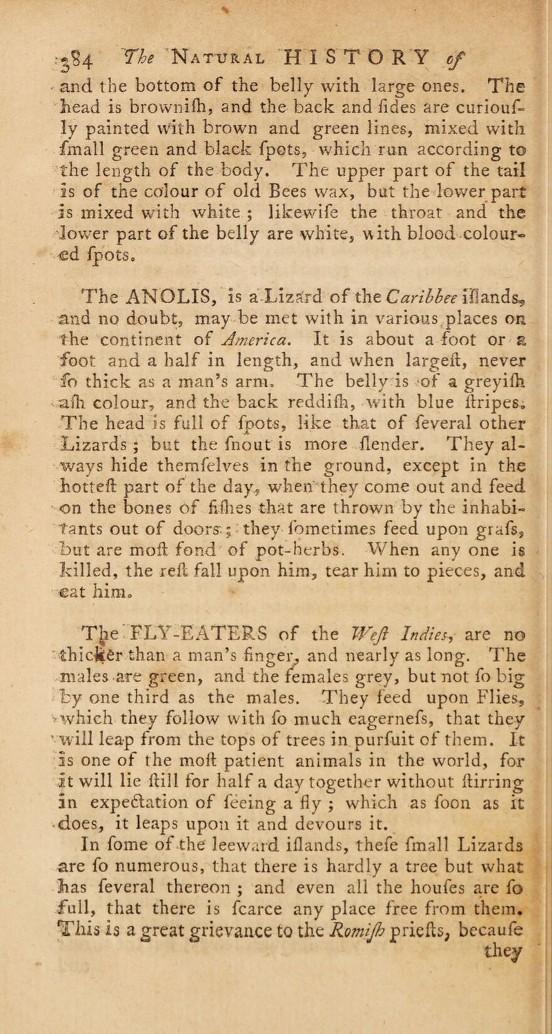 and the bottom of the belly with large ones. The head is brownifh, and the back and fides are curiouf- ly painted with brown and green lines, mixed with fmall green and black fpets, which run according to the length of the body. The upper part of the tail is of the colour of old Bees wax, but the lower part is mixed with white ; likewife the throat and the lov/er part of the belly are white, with blood colour¬ ed fpOtSa The ANOLIS, is a Lizard of the CariLbee ffiands, and no doubt, may be met with in various.places on the continent of America. It is about a foot or a foot and a half in length, and when largeft, never fo thick as a man’s arm. The belly is of a greyifh afh colour, and the back reddifh, with blue liripes. The head is full of fpots, like that of feveral other Lizards ; but the fnout is more {lender. They al¬ ways hide themfelves in the ground, except in the hotteft part of the day, when they come out and feed on the bones of flfhes that are thrown by the inhabi¬ tants out of doors; they fometimes feed upon grafs, but are moll fond of pot-herbs. When any one is killed, the reft fall upon him, tear him to pieces, and eat hinio T^e FLY-EATERS of the Weft Indies, are no thicker than a man’s finger, and nearly as long. The males are green, and the females grey, but not fo big by one third as the males. They feed upon Flies, vwhich they follow with fo much eagernefs, that they ’ will leap from the tops of trees in purfuit of them. It is one of the mod patient animals in the world, for it will lie kill for half a day together without ftirring in expedition of feeing a fly ; which as foon as it does, it leaps upon it and devours it. In fome of the leeward iflands, thefe fmall Lizards are fo numerous, that there is hardly a tree but what has feveral thereon ; and even all the houfes are fo full, that there is fcarce any place free from them. This is a great grievance to the Romifi priefls, becaufe