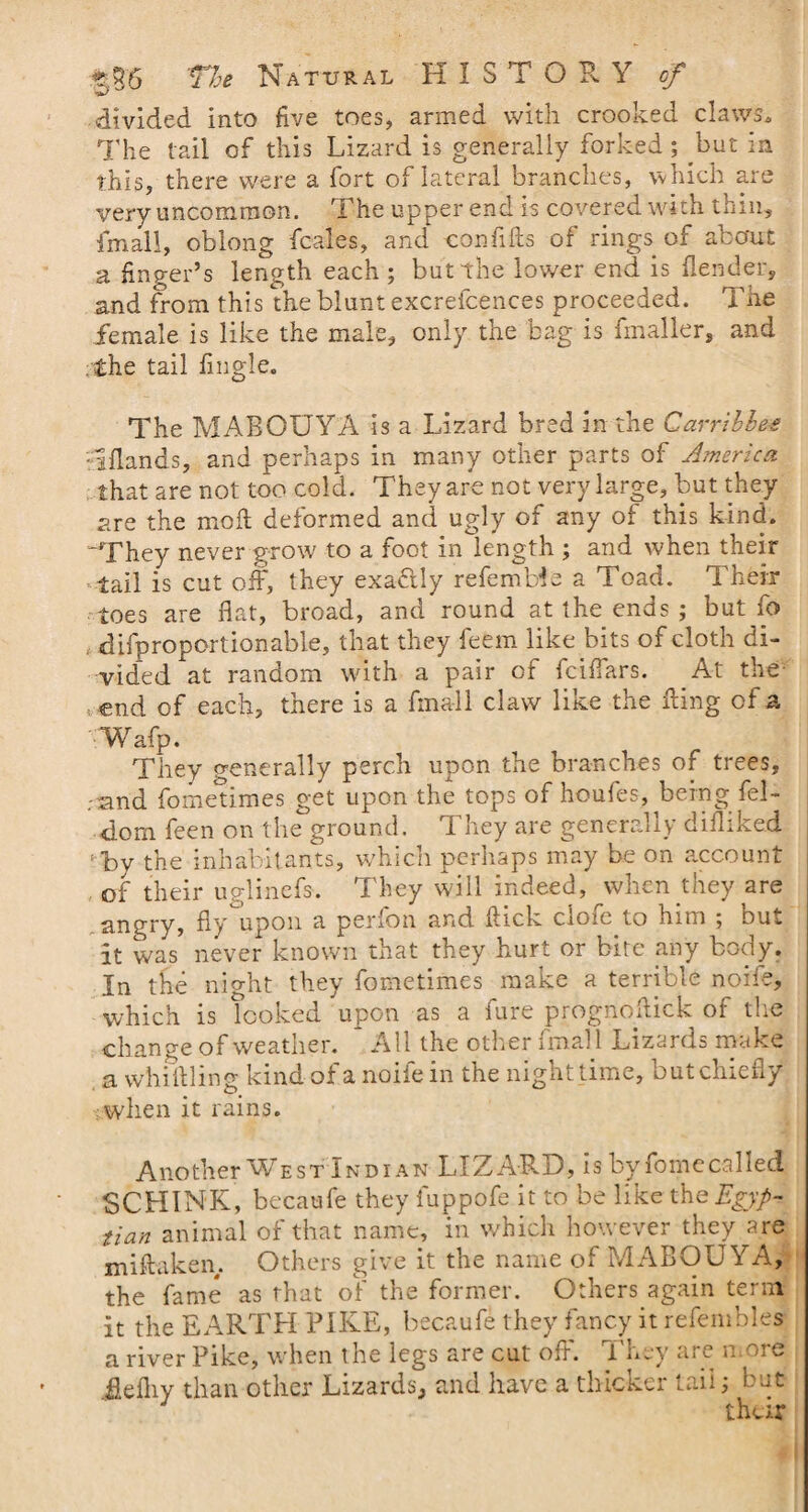 divided into five toes, armed with crooked claws* The tail of this Lizard is generally forked ; but in this, there were a fort of lateral branches, which are very uncommon. The upper end Is covered with thin, {mail, oblong {bales, and confifts of rings of about a finger’s length each ; but the lower end is {lender, and from this the blunt excrefcences proceeded. The female is like the male, only the bag is fmaller, and . the tail {ingle. The MABOUYA is a Lizard bred in the Carrtbhee •Hands, and perhaps in many other parts of America that are not too cold. They are not very large, but they are the mod deformed and ugly of any of this kind. 'They never grow to a foot in length ; and when their tail is cut off, they exactly refembie a Toad. Their toes are flat, broad, and round at the ends ; but fo difproportionable, that they feem like bits of cloth di¬ vided at random with a pair of fciffars. At the end of each, there is a final 1 claw like the ding of a Wafp. They generally perch upon the branches of trees, .-and fometimes get upon the tops of houfes, being fel- dorn feen on the ground. They are generally difliked rfcy the inhabitants, which perhaps may be on account of their uglinefs. They will indeed, when they are angry, fly upon a perfon and dick clofe to him ; but it was never known that they hurt or bite any body. In the night they fometimes make a terrible noifr, which is looked 'upon as a fure prognoftick of the change of weather. * All the other fmall Lizards make a whiffling kind of a nolle in the nighttime, but chiefly i-when it rains. Another West Indian LIZARD, is byfomecalled SCHINK, becaufe they fuppofe it to be like the Egypt tian animal of that name, in which however they are midaken. Others give it the name of MABOUYA, the fame as that of the former. Others again term it the EARTH PIKE, b ecaufe they fancy it refembles a river Pike, when the legs are cut off. They are more fiefliy than other Lizards, and have a thicker tail; but their