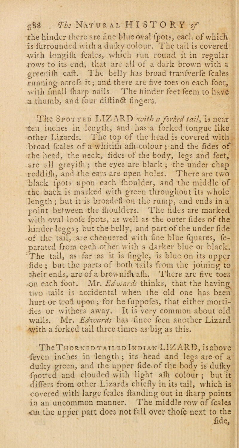 <sSg The Natu r a l HISTORY# J -the hinder there are fine blue oval fpots, each of which is furrounded with a dufky colour. The tail is covered -with longifn fcales, which run round it in regular rows to its end, that are all of a dark brown with a greeriilh call. The belly has broad tranfverfe fcales running acrcfs it; and there are live toes on each foot, with final! fharp nails. The hinder feet feem to have a. thumb, and four dillindl fingers. The Spotted LIZARD with a forked iail> is near ■'ten inches in length, and has a forked tongue like other Lizards. The top of the head is covered with broad fcales of a whitifh alh colour; and the fides of the head, the neck, fides of the body, legs and feet, are ail greyifh ; the eyes are black ; -the under chap reddifn, and the ears are open holes. There are two black fpots upon each {boulder, and the middle of the back is marked with green throughout its whole length; but it is broadeff on the rump, and ends in a point between the ihoulders. The iides are marked with oval loofe fpots, as well as the outer fides of the hinder leggs; but the belly, and part of the under fide of the tail, .are chequered with line blue fquares, fe- parated from each other with a darker blue or black. The tail, as far as it is fingle, is blue on its upper fide; but the parts of both tails from the joining to their ends, are of a brownifh alh. There are five toes •on each foot. Mr. Edwards thinks, that the having two tails is accidental when the old one has been hurt or trod upon; for he fuppofes, that either morti¬ fies or withers away. It is very common about old walls. Mr. Edwards has fince feen another Lizard with a forked tail three times as big as this. The Th o r Ne dt a i l e d In d i an LIZ ARB, is above -feven inches in length ; its head and legs are of a dulky green, and the upper fide of the body is dulky fpotted and clouded with light alh colour ; but it differs from other Lizards chiefly in its tail, which is covered with large fcales Handing out in fliarp points in an uncommon manner. The middle row of fcales on the upper part does not fall over thofe next to the