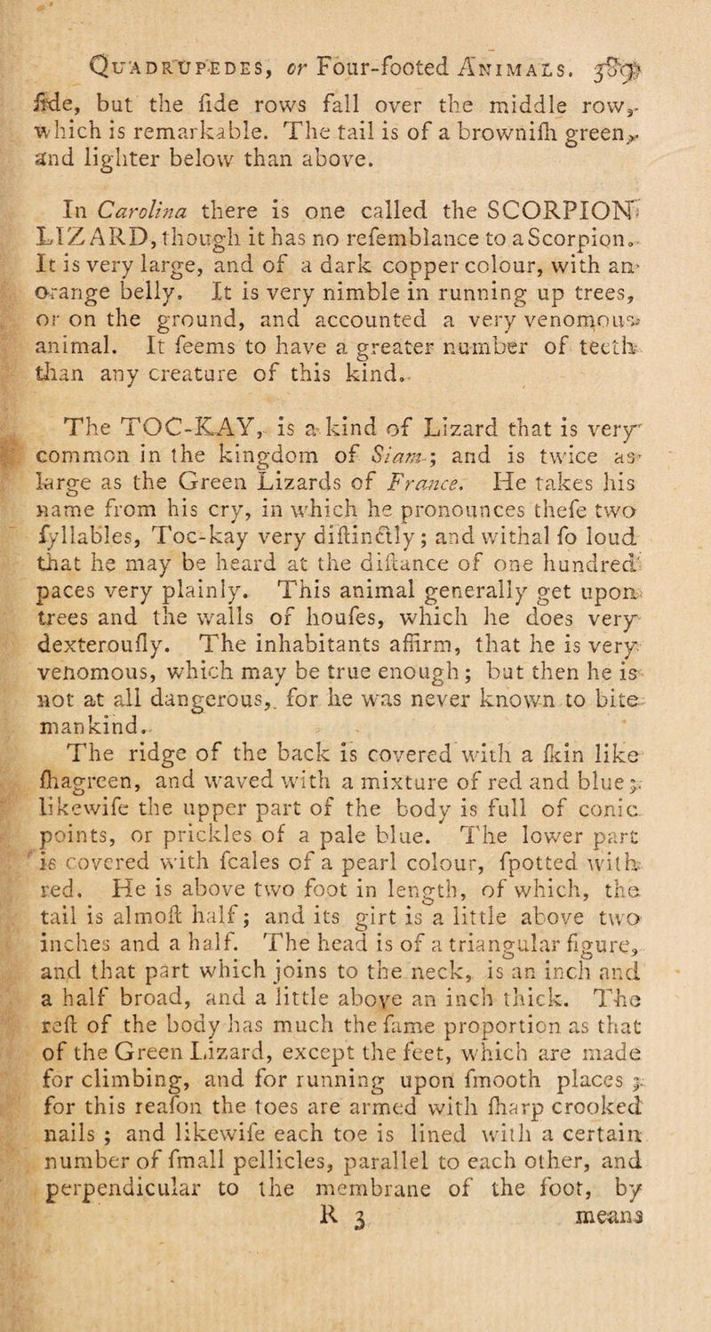 Qua d R tJPE d e s, or Four-footed Animals. iide, but the fide rows fall over the middle row,, which is remarkable. The tail is of a brownifh green*, and lighter below than above. In Carolina there is one called the SCORPION- LIZARD, though it has no refemblance to a Scorpion. It is very large, and of a dark copper colour, with am o-range belly. It is very nimble in running up trees, or on the ground, and accounted a very venomous. animal. It feems to have a greater number of teeth than any creature of this kind. The TOC-KAY, is a kind of Lizard that is very common in the kingdom of Siam-; arid is twice as* large as the Green Lizards of France. He takes his name from his cry, in which he pronounces thefe two fyliables, Toc-kay very diftinctly; and withal fo loud that he may be heard at the diftance of one hundred' paces very plainly. This animal generally get upon trees and the walls of houfes, which he does very dexteroudy. The inhabitants affirm, that he is very, venomous, which may be true enough; but then he is not at all dangerous,, for he was never known to bite mankind. The ridge of the back is covered with a fkin like fhagreen, and waved with a mixture of red and blue;, likewife the upper part of the body is full of conic points, or prickles of a pale blue. The lower part is covered with fcales of a pearl colour, fpotted with, red. He is above two foot in length, of which, the tail is almolt half; and its girt is a little above two inches and a half. The head is of a triangular figure, and that part which joins to the neck, is an inch and a half broad, and a little above an inch thick. The reft of the body has much the fame proportion as that of the Green Lizard, except the feet, which are made for climbing, and for running upon fmooth places for this reafon the toes are armed with fharp crooked nails ; and likewife each toe is lined with a certain number of fmall pellicles, parallel to each other, and perpendicular to the membrane of the foot, by R 3 means