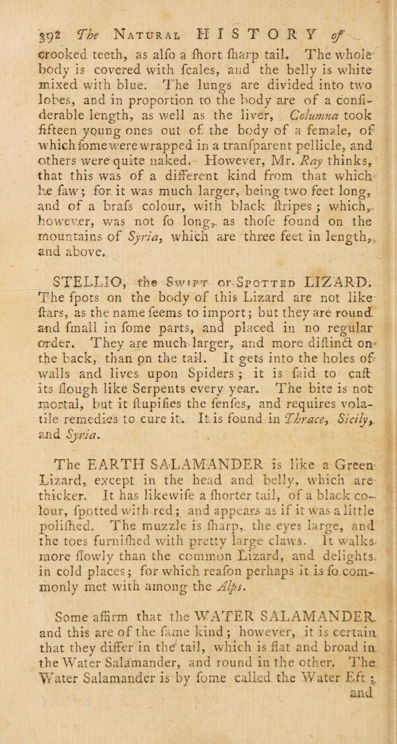 crooked teeth, as alfo a fhort (harp tail. The whole body is covered with fcales, and the belly is white mixed with blue. The lungs are divided into two <D lobes, and in proportion to the body are of a confi- derable length, as well as the liver, Columna took fifteen young ones out of the body of a female, of which fome were wrapped in a tranfparent pellicle, and others were quite naked. However, Mr. Ray thinks, that this was of a different kind from that which he faw; for it was much larger, being two feet long, and of a brafs colour, with black ftripes ; which,- however, was not fo long,, as thofe found on the mountains of Syria, which are three feet in length, and above. STELLIO, the Swift or Spotted LIZARD. The fpots on the body of this Lizard are not like Ears, as the name feems to import; but they are round and fmall in fome parts, and placed in no regular order. They are much larger, and more diAindt on- the back, than on the tail. It gets into the holes of walls and lives upon Spiders; it is faid to call its dough like Serpents every year. The bite is not mortal, but it flupifies the fenfes, and requires vola¬ tile remedies to cure it. It is found in Thrace, Sicily, and Syria. The EARTH SALAMANDER is like a Green Lizard, except in the head and belly, which are thicker. It has llkevvife a Ihorter tail, of a black co¬ lour, fpotted with red ; and appears as if it was a little polilhed. The muzzle is fliarp, the eyes large, and the toes furnifhed with pretty large claws. It walks- more flowly than the common Lizard, and delights in cold places; for which reafon perhaps it is fo com¬ monly met with among the Alps. Some affirm that the WATER SALAMANDER, and this are of the fame kind; however, it is certain that they differ in the tail, which is flat and broad in the Water Salamander, and round in the other. The Water Salamander is by fome called the Water Eft and