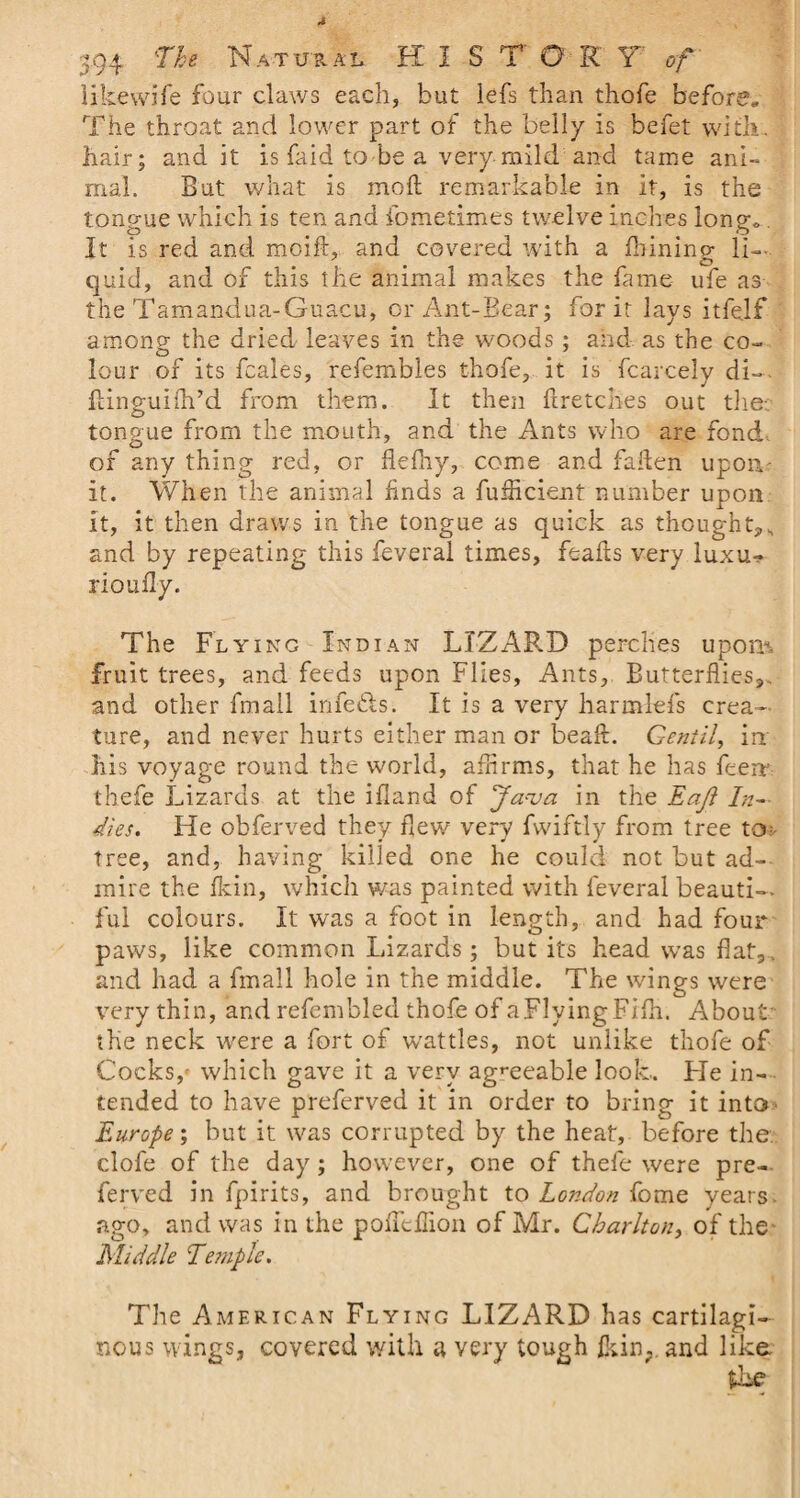 594 Th Natural HI S TO R Y of like wife four claws each, but lefs than thofe before. The throat and lower part of the belly is befet with, hair; audit is faid to be a very mild and tame ani¬ mal. But what is mo ft remarkable in it, is the tonp-ue which is ten and fometimes twelve inches longx It is red and moift, and covered with a fbinino- li~ quid, and of this the animal makes the fame ufe as the Tamandua-Guacu, or Ant-Bear; for it lays itfelf among- the dried leaves in the woods ; and as the co~ lour of its fcales, refembles thofe, it is fcarcely di— ftino-uifti’d from them. It then ftretches out the- O tongue from the mouth, and the Ants who are fond, of any thing red, or flefhy, come and fallen upon- it. When the animal finds a fufficient number upon it, it then draws in the tongue as quick as thought,s and by repeating this feveral times, feafts very luxu- rioufly. The Flying Indian LIZARD perches upom fruit trees, and feeds upon Flies, Ants, Butterflies,., and other fmall infe&amp;s. It is a very harmlefs crea¬ ture, and never hurts either man or beaft. Gentil, in' his voyage round the world, affirms, that he has fee it thefe Lizards at the ifland of *Ja<va in the Eaft In¬ dies. He obferved they flew very fwiftly from tree tor tree, and, having killed one he could not but ad¬ mire the fkin, which was painted with feveral beauti¬ ful colours. It was a foot in length, and had four paws, like common Lizards; but its head was flat,, and had a fmall hole in the middle. The wings were very thin, and refembled thofe of aFlyingFifli. About the neck were a fort of wattles, not unlike thofe of Cocksy which gave it a very agreeable look. Lie in¬ tended to have preferved it in order to bring it into Europe; but it was corrupted by the heat, before the clofe of the day ; however, one of thefe were pre-. ferved in fpirits, and brought to London fome years ago, and was in the poneflion of Mr. Charlton, of the Middle Tesnple. The American Flying LIZARD has cartilagi¬ nous wings, covered with a very tough fkin;. and like the