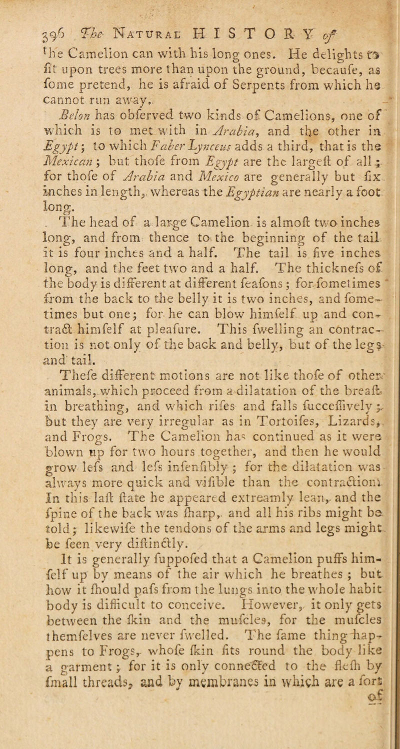 fhe Camelion can with his lone; ones. He delights fs fit upon trees more than upon the ground, becaufe, as feme pretend, he is afraid of Serpents from which hs cannot run away.. Belon has obferved two kinds of Camelions, one of which is to met with in Arabia, and the other in Egypt; to which Faber Lynceus adds a third, that is the Mexican; but thofe from Egypt are the larged of all 4 for thofe of Arabia and Mexico are generally but fix inches in length,, whereas the Egyptian are nearly a foot long. The head of a large Camelion is almoft two inches long, and from thence to the beginning of the tail it is four inches and a half. The tail is five inches long, and the feet two and a half. The thicknefs of the body is different at different feafons; for fometimes from the back to the belly it is two inches, and fome- times but one; for he can blow himfelf up and con- trad! himfelf at pleafure. This fwelling an contrac¬ tion is not only of the back and belly, but of the legs and tail. Thefe different motions are not like thofe of other,' animals, which proceed from a dilatation of the bread:-, in breathing, and which rifes and falls fucceffively but they are very irregular as in Tortoifes, Lizards, and Frogs. The Camelion ha^ continued as it were blown up for two hours together, and then he would grow lefs and lefs infenfibly ; for the dilatation wras always more quick and vifible than the contradlionv In this lal! date he appeared extreamly lean,, and the fpine of the back was fharp,. and all his ribs might be told; likewife the tendons of the arms and legs might be feen very diftinclly. It is generally fuppofed that a Camelion puffs him¬ felf up by means of the air which he breathes ; but how it fhould pafs from the lungs into the whole habit body is difficult to conceive. However,, it only gets between the fkin and the mufcle9, for the mufcles themfelves are never fu elled. The fame thing-hap¬ pens to Frogs,- whole fkin fits round the body like a garment; for it is only connected to the fkfh by (mall threads, and by membranes in which are a fort
