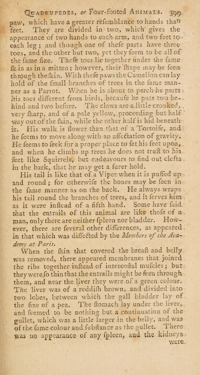 paw, which have a greater refemblance to hands than feet. They are divided in two, which gives the appearance of two hands to each arm, and two feet to each leg ; and though one of thefe parts have three toes, and the other but two, yet they feem to be all of the fame fize. Thefe toes lie together under the fame ikin as in a mitten; however, their flaps may be been through the ikin. With thefe paws the Canadian can lay hold of the fmall branches of trees in the fame man¬ ner as a Parrot. When he is- about to perch he parts ? Bis toes different from birds, becaufe he puts two be¬ hind and two before. The claws are a little-crooked, , very fharp, and of a pale yellow,..proceeding but half way out of the fun, while the other half is hid beneath it. His walk Is flower than that of a Tortoife,. and he feems to move along with an affectation of gravity. Me feems to feek for a proper place to fet his feet upon, and when he climbs up trees he does not trull to his feet like Squirrels, but endeavours to find out clefts in the bark, that he may get a furer hold. His tail is like that of a Viper when it is puffed up and round ; for otherwife the bones may be been in the fame manner as on the back. He always wraps his tail round the branches of trees, and it ferves him as it were inftead of a fifth hand. Some have faid that the entrails of this animal are like thofe of a man, only there are neither fpleen nor bladder. How¬ ever, there are feveral other differences, as appeared in that which was differed by the Members of the Aca¬ demy at Paris. When the fkin that covered the bread: and belly was removed, there appeared membranes that joined the ribs together inffead of intereodal mufcles; but they were fo thin that the entrails might be been through them, and near the liver they were.of a green colour. The liver was of a reddiih brown, and divided into two lobes, between which the gall bladder lay of the fize of a pea. The ftomach lay under the liver, and feemed to be nothing but a continuation of the gullet, which was a little larger in the belly, and was of the fame colour and fubflance as the gullet. 'I here was no appearance of any fpleen, and the kidneys, were.