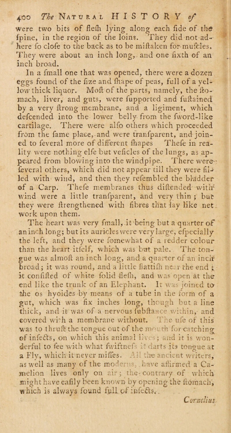 were two bits of flefh lying along each fide of the fpine, in the region of the loins. They did not ad¬ here fo clofe to the back as to be mi ft a ken for mufc.les. They were about an inch long, and one fixth of an inch broad. In a fmall one that was opened, there were a dozen eggs found of the fize and fhape of peas, full of a yel¬ low thick liquor. Moft of the parts, namely, the fto= mach, liver, and guts, were fupported and fuftained by a very ftrong membrane, and a ligiment, which defcended into the lower belly from the fvvord-like cartilage. There were alfo others which proceeded from the fame place, and were tranfparent, and join¬ ed to feveral more of different fhapes Thefe in rea¬ lity were nothing elfe but vehicles of the lungs, as ap¬ peared from blowing into the windpipe. There were- feveral others, which did not appear till they were fil-' led with wind, and then they refembled the bladder of a Carp. Thefe membranes thus diftended wit If wind were a little tranfparent, and very thin ; but they were ftrengthened with fibres that lay like net work upon them. The heart was very fmall, it being but a quarter of aninchlong; but its auricles were very large, efpecially the left, and they were foinewhat of a redder colour than the heart itfelf, which was but pale. The ton¬ gue was almoft an inch long, and a quarter of an inch broad; it was round, and a little fiattifh near the end ; it confifted of white folid flefh, and was open at the end like the trunk of an Elephant. It was joined to the os hyoides by means of a tube in the form of a gut, which was fix inches long, though but a line thick, and it was of a nervous fubftap.ee within, and covered with a membrane without. The ufe of this was to thruft the tongue out of the moi bn for catching of infedl's, on which this animal lives; and it is won¬ derful to fee with what fwiftnef h darts its tongue at o a Fly, which it never mifies. AY -be ancient writers, as well as many of the moderns, have affirmed a Ca- melion lives only on air; the-contrary of which might have eafily been known by opening the ftomach, which is always found full of infers, . Cornell ui