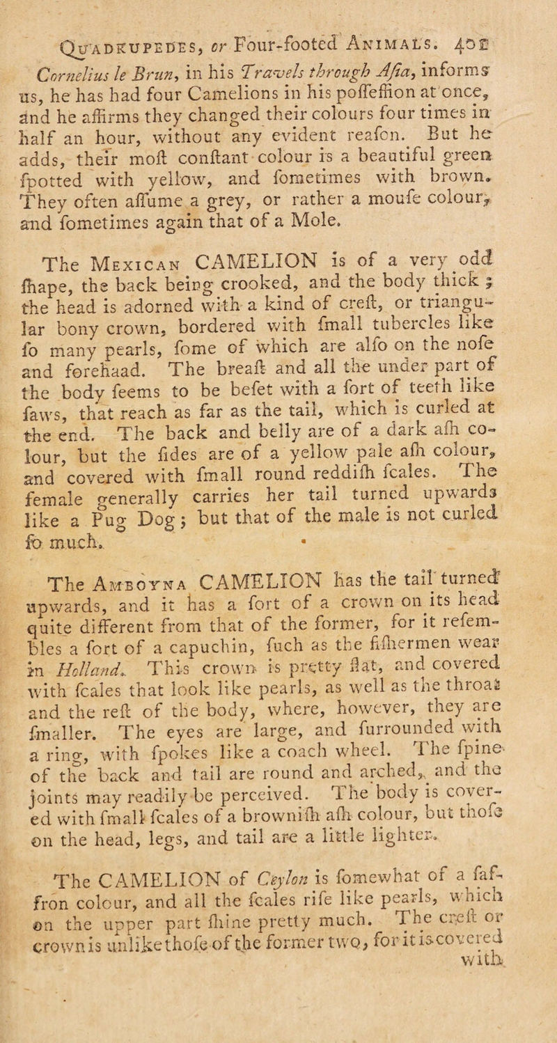 Cornelius le Brim, in his Travels through AJia, informs us, he has had four Camelions in his poffeffion at once, and he affirms they changed their colours four times in half an hour, without any evident reafcn. But he adds, their moll conftant colour is a beautiful green fpotted with yellow, and fometimes with brown. They often affume a grey, or rather a moufe colour,, and fometimes again that of a Mole. The Mexican CAMELION is of a very odd ffiape, the back being crooked, and the body thick ; the head is adorned with a kind of crefl, or triangu¬ lar bony crown, bordered with fmall tubercles like fo many pearls, fome of which are aiio on the nofe and forehaad. The break and all tne under pan: of the body feems to be befet with a fort of teetn like faws, that reach as far as the tail, which is curled at the end. The back and belly are of a dark afn co¬ lour, but the fides are of a yellow pale afh colour, and covered with fmall round reddiffi fcales. The female generally carries her tail turned upwards like a Pug Dog; but that of the male is not curled fb much. The Ambqyna CAMELION has the tail turned upwards, and it has a fort of a crown on.its head quite different from that of the former, for it refem- bles a fort of a capuchin, fuch as the ffffiermen wear in Holland, This crown is pretty flat, and covered with fcales that look like pearls, as well as the throaS and the reil of the body, where, however, they are {mailer. The eyes are large, and furrounded with a ring, with fpokes like a coach wheel. 1 he fpine of the back and tail are round and arched,, and tne joints may readily be perceived. 1 he body is cover¬ ed with fmall fcales of a brownith afh colour, but thoiO on the head, legs, and tail are a little lighter. The CAMELION of Ceylon is fomewhat of a faff fron colour, and all the fcales rile like pearls, u nicn on the upper part fhine pretty much. The crpii oi crownis unlike thofeof the former two, for it is cow icd with