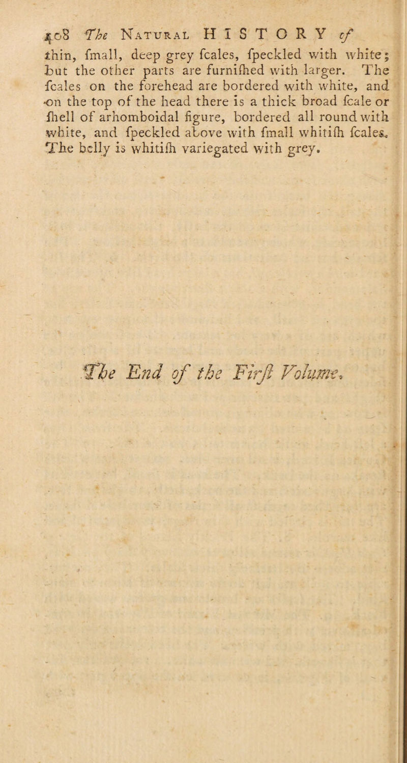 thin, fmall, deep grey fcales, fpeckled with white; but the other parts are furnifhed with larger. The fcales on the forehead are bordered with white, and on the top of the head there is a thick broad fcale or fhell of arhomboidal figure, bordered all round with white, and fpeckled above with fmall whitifh fcales. The belly is whitilh variegated with grey. The End of the Firjl Volume.