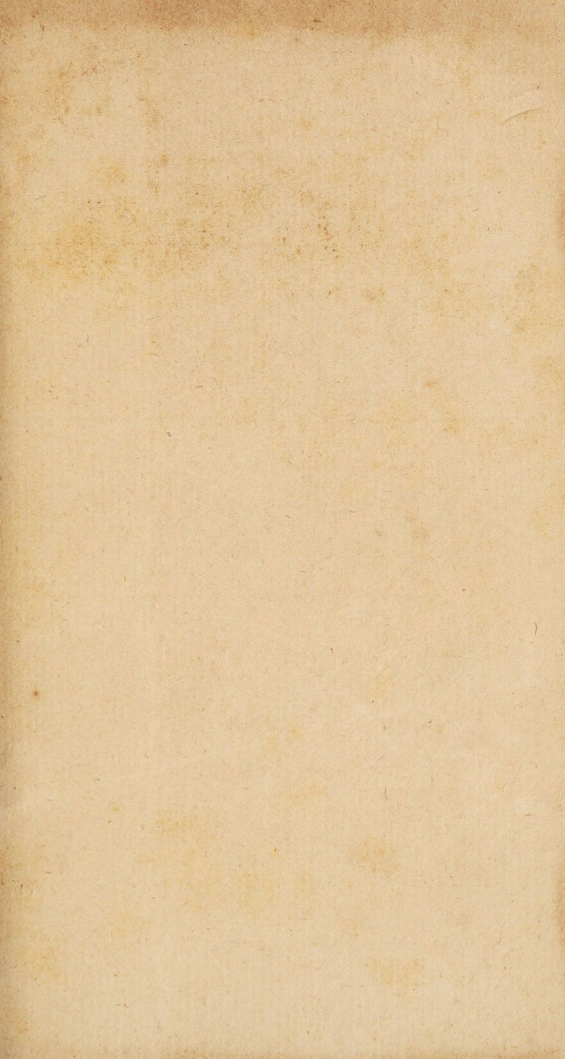 - . ■ ) 1 ' , .* -ur kf'