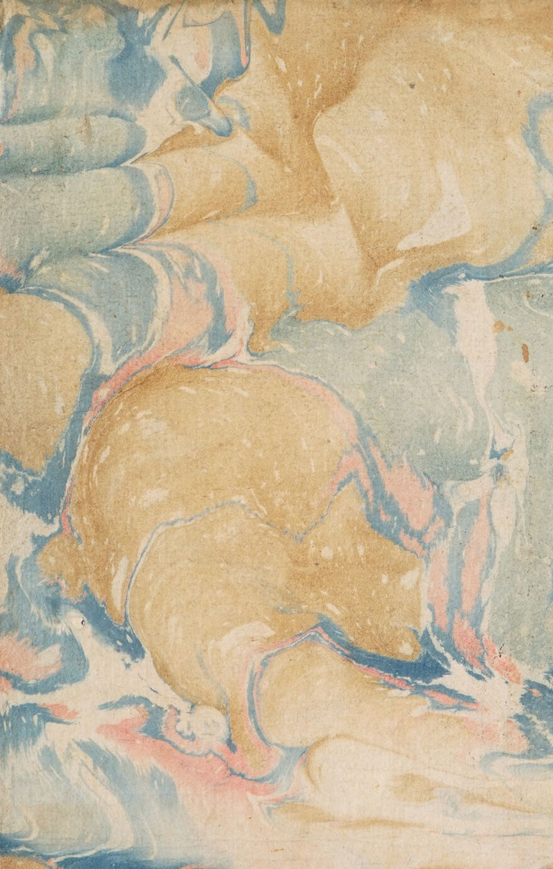 No text description is available for this image