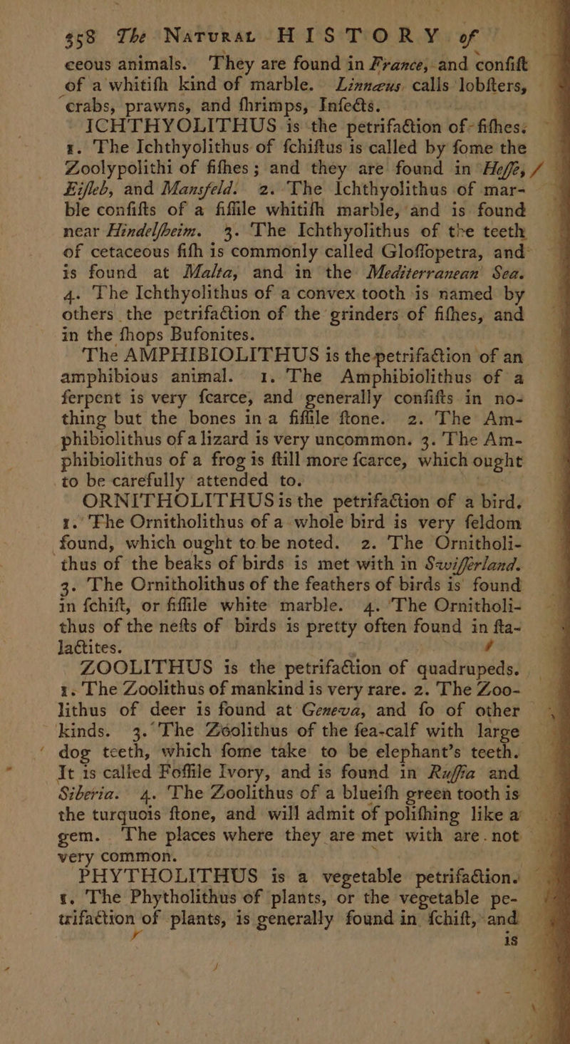 $58 The Natrurat HISTORY of — ; eeous animals. They are found in France, and confit 4 of a whitifh kind of marble. Linneus. calls ‘lobfters, + “erabs, prawns, and fhrimps, Tnfeéts. ; ICHTHYOLITHUS is ‘the petrifa&amp;tion of fithes. . The Ichthyolithus of fchiftus is called by fome the Fooly politi of fifhes; and they are found in “He “i / 4 4 Eifleb, and Mansfeld. 2. The Ichthyolithus of mar- — ble confifts of a fifile whitifh marble, and is found near Hindelfbeim. 3. ‘The Ichthyolithus of the teeth of cetaceous fifh is commonly called Gloffopetra, and is found at Malta, and in the Mediterranean Sea. 4. The Ichthyolithus of a convex tooth is named by others the petrifaction of the grinders of fifhes, and in the fhops Bufonites. The gale oa gue toni is the-petrifaction of an. amphibious animal. 1. The Amphibiolithus of a ferpent is very fcarce, Ne generally confifts in no- thing but the bones ina fiffle ftone. 2. The Am- phibiolithus of a lizard is very uncommon. 3. The Am- phibiolithus of a frog 1s ftill more fearce, which ought to be carefully attended to. ORNITHOLITHUS is the petrifaction of a bird. 1. Fhe Ornitholithus of a. whole bird is very feldom found, which ought to be noted. z. The Ornitholi- thus of the beaks of birds is met with in S2v ‘ifferland. . The Ornitholithus of the feathers of birds is’ found in fchift, or fiffile white marble. 4. ‘The Ornitholi- thus of the nefts of birds is pretty often found in fta- lactites. / ZOOLITHUS is the petrifaction of quadrupeds. _ 1. The Zoolithus of mankind is very rare. 2. The Zoo- lithus of deer is found at Geneva, and fo of other ‘kinds. 3.°The Zéolithus of the fea-calf with large ; ‘ dog teeth, which fome take to be elephant’s teeth. It is called Fofile Ivory, and is found in Rufia and Siberia. 4. The Zoolithus of a blueith green toothis the turquois ftone, and will admit of polithing like a gem. ‘The places where they are met with are not very common. | PHYTHOLITHUS is a vegetable petrifa@tions — t. The Phytholithus of plants, or the vegetable pe- © pak Bae of plants, is generally found in f{chift,and _ is A