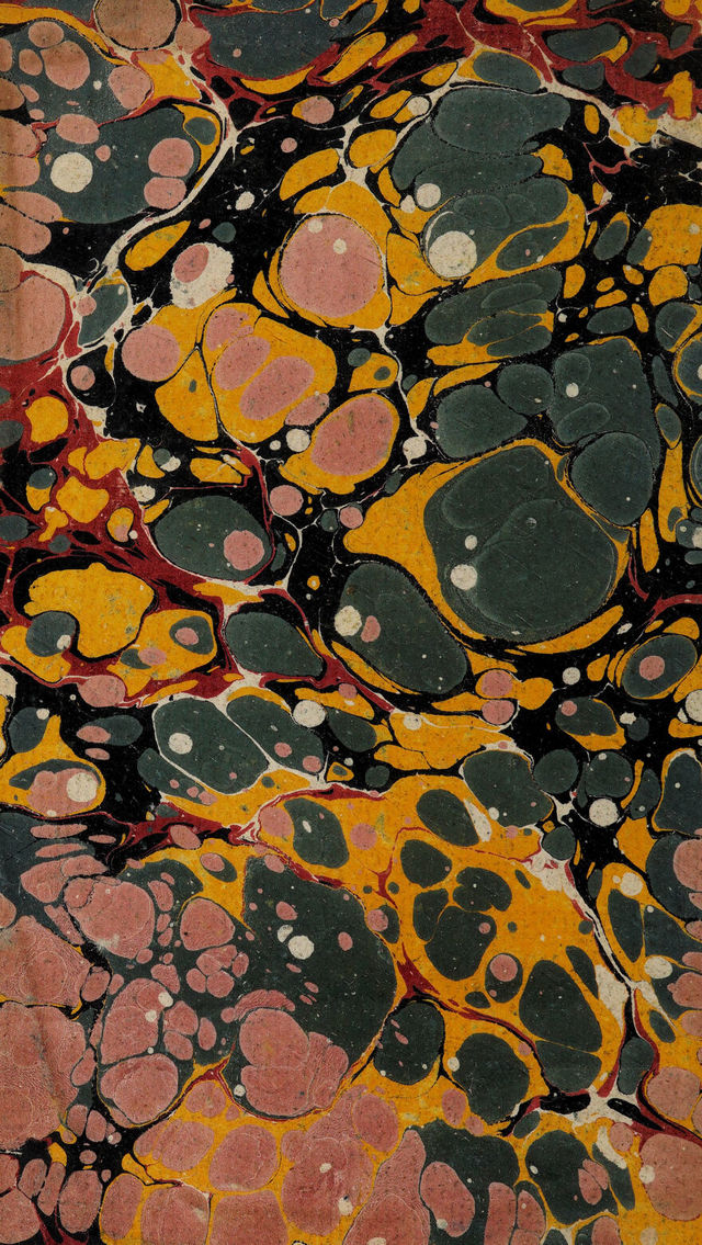 digitised image 2