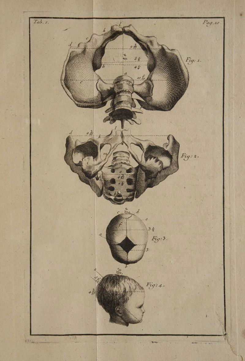 TE Ÿ D: dl Î (hi) } (ES G (re per ÉLLLS
