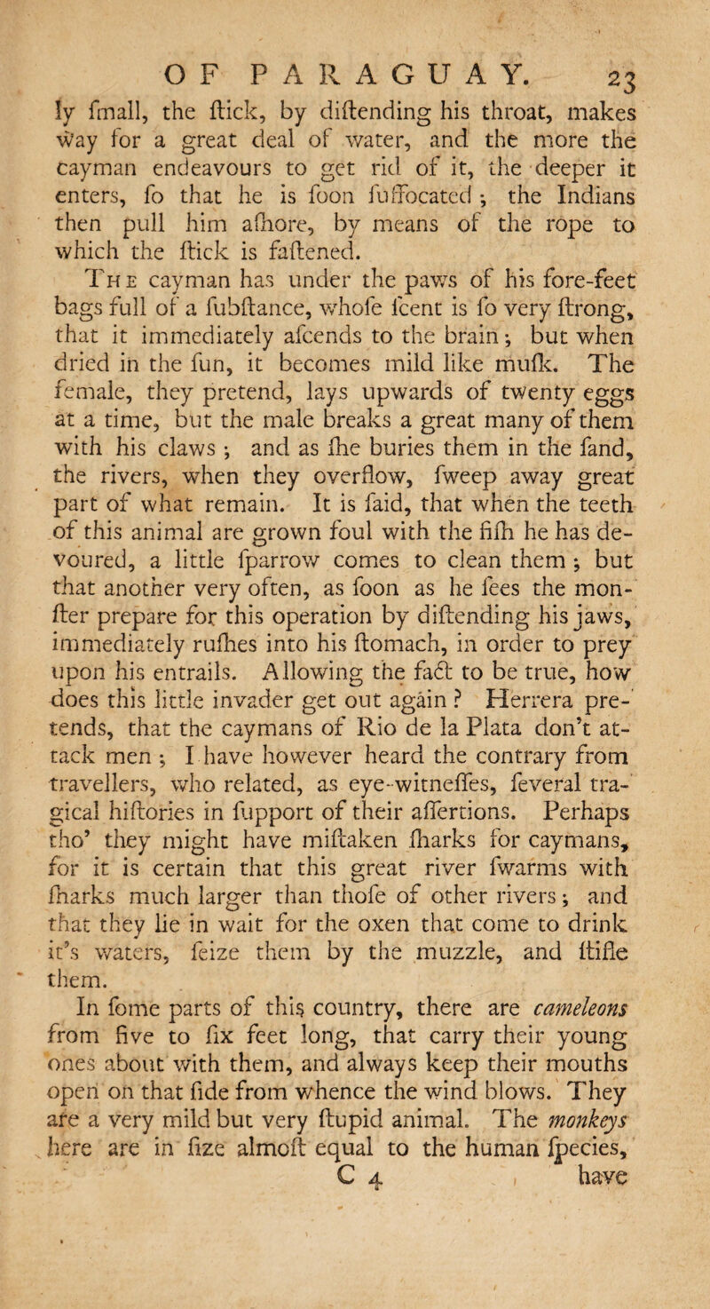 ly frnall, the flick, by diftending his throat, makes w?ay for a great deal of water, and the more the cayman endeavours to get rid of it, the deeper it enters, fo that he is foon fu[located *, the Indians then pull him adhere, by means of the rope to which the flick is fattened. Th e cayman has under the paws of his fore-feet bags full of a fubflance, whofe lcent is fo very ftrong, that it immediately afeends to the brain •, but when dried in the fun, it becomes mild like mufk. The female, they pretend, lays upwards of twenty eggs at a time, but the male breaks a great many of them with his claws •, and as fhe buries them in the fand, the rivers, when they overflow, fweep away great part of what remain. It is faid, that when the teeth of this animal are grown foul with the fifh he has de¬ voured, a little fparrow comes to clean them ; but that another very often, as foon as he fees the mon- fter prepare for this operation by diftending his jaws, immediately rufhes into his ftomach, in order to prey upon his entrails. Allowing the fa£l to be true, how does this little invader get out again ? Herrera pre¬ tends, that the caymans of Rio de la Plata don’t at¬ tack men ; I have however heard the contrary from travellers, who related, as eye-witneffes, feveral tra¬ gical hiftories in fupport of their affertions. Perhaps tho’ they might have miftaken fharks for caymans, for it is certain that this great river fwarms with fharks much larger than thole of other rivers; and that they he in wait for the oxen that come to drink it’s waters, feize them by the muzzle, and ftifte them. In feme parts of this country, there are cameleons from Eve to fix feet long, that carry their young ones about with them, and always keep their mouths open on that fide from whence the wind blows. They ate a very mild but very ftupid animal. The monkeys here are in fize almoft equal to the human fpecies, C 4 /, have