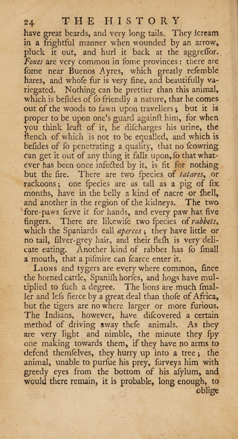 have great beards, and very long tails. They leream in a frightful manner when wounded by an arrow, pluck it cut, and hurl it back at the aggrelfor.. Foxes are very common in fome provinces: there are fome near Buenos Ayres, which greatly refemble hares, and whofe fur is very fine, and beautifully va¬ riegated. Nothing can be prettier than this animal, which is befides of fo friendly a nature, that he comes out of the woods to fawn upon travellers *, but it is proper to be upon one's guard againft him, for when you think leaft of it, he difcharges his urine, the flench of which is not to be equalled, and which is befides of fo penetrating a quality, that no fcowring can get it out of any thing it falls upon,fo that what¬ ever has been once infedled by it, is fit for nothing but the fire. There are two fpecies of tatares, or rackoons •, one fpecies are as tall as a pig of fix months, have in the belly a kind of nacre or fhell, and another in the region of the kidneys. The two fore-paws ferve it for hands, and every paw has five fingers. There are likewife two fpecies of rabbets, which the Spaniards call afercos \ they have little or no tail, filver-grey hair, and their flefh is very deli¬ cate eating. Another kind of rabbet has fo final! a mouth, that a pifmire can fcarce enter it. Lions and tygers are everywhere common, fince the horned cattle, Spanifh horfes, and hogs have mul¬ tiplied to fuch a degree. The lions are much final- ler and lefs fierce by a great.deal than thofe of Africa, but the tigers are nowhere larger or more furious* The Indians, however, have difcovered a certain method of driving away thefe animals. As they are very light and nimble, the minute they fpy one making towards them, if they have no arms to defend themfelves, they hurry up into a tree *, the animal, unable to purfue his prey, furveys him with greedy eyes from the bottom of his afylum, and would there remain, it is probable, long enough, to oblige