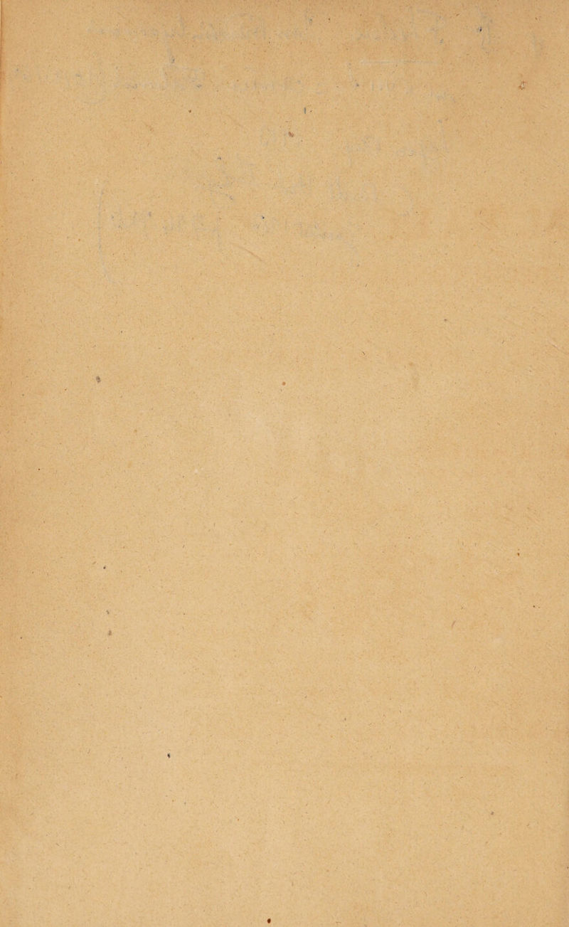 4 V v ■■ ; , ■% * î f ■