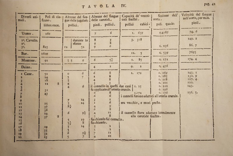 pag. 42 1 Diverfi ani¬ mali . 1 1 I I j 1 I 1 I I I 1 I • Uomo . 1°. Cavallo. 2. 3”* Bue. Montone. Daino. 1 2 3 4 5 <5 7 8 9 10 11 12 »3 14 15 16 17 18 19 20 Cane. 1 Pefi di eia- Altezze del fan- 1 feuno. gue delle jugulari. 1 iibbre.once. pollici. j 160 1 ) ! durante lo I 1 f sforzo 1 1 825 12 5^ ! 1600 ■ t 9^ 5 ' _ 5 9 1 . . - , 52 0 6 1 ^4 5 7 18 5 12 8 ’ 4 1 6 31 43 7 ' 14 15 5 24 37 8| 1 3^ 4^ * 1 24 6 9t i 37 8 5 19 1 1 51 8 19 5 14 1 35 • 5 ir 6 97 23 5 7 Altezze del fangue Capacità de’ ventri- delie carotidi, coli finiftri. piedi. pollici. 8 9 9 3 8 6 5^ pollici cubici • j ♦ i ... -- - 1 ^, _, I. Ó59 1 , 3‘ 318 1 1 12. 5 1 t. 1 00 j 1 1 1 9. 2 ( Sezione- dell’ ; Velocità det fangue \ aortr; ì nell’aorta, per min - poli, quadr. 1 • 0.4187 I. 03Ó I I' 2. 539' 6 2 4 3 8 8 8 3 I. 172 il cannello in quelli due cani fu applicato àU’arteria crurale. ó 6 3 I 4 6 4 nicchiando f fucchiando. 5 5 7 4 8 6 I é 9 8 11 8 I. 25 1.172 o. 172 mmm m 0. 47 0. i6g 0. 185 0. 118 0. lOI 0. 210 0. igó 0. 176 4 I i cannelli furono adattati all’arteria crurale, j I . I 1 era vecchio , e mori prello. I I j il cannello (lava adattato lateralmente i alla carotide finiftra. 1 1; I l 2 2 II IO I I I 1 l 74. 6 149. 2 86. 7 I 7^95 174- 4 143. I 130. 9 127. 4 120. 143. 15Ó. 5. f \ 1 f 10^,
