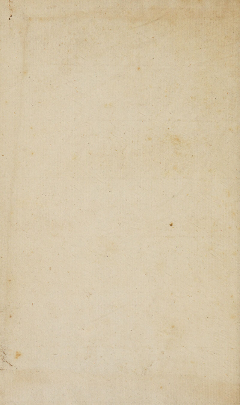 .'K- v t # r / ■s ■ \ N C 4