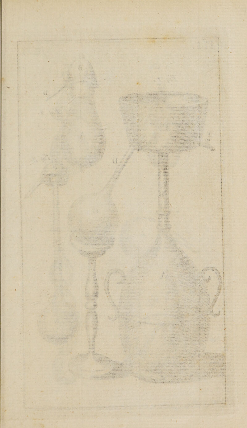 u. . \ i ' >.■ Ajh* > *  • r Si, > S*r :-y*V. : . .W •' V «...':■ -V4t*fï:> • •* '■ •> *•; ■;■'• . • r-.. • .....’Sk -v ' * *•- • ,?r- • • - / v .S ; « . ' ■. .:* •*- ^ --*• •. r ' - --.y., 1 ••• s* V/j;: VS - ; - ... ■ . : s i ■ J? . ■ 9 - £ -JUi. :• % v- ' w. • •• • V...A; »•: ■''> H •’«JM .. .U/' > ■t, .... '.rr —T »• ■ ■ . . - : V</-{ « • • .4 '-V\ < .... . . : f ■ • ; „*!. #■ 1 • i- ? » :A. • •-> v - ' & i ■ • ; . < : : :-5 e i ... . . -a,<(■/.;' 1 . ■ ..•■- • ;• ' ' ! ■ ./•••■•> « •V J ' .;?■ *v* s - - ! . - , . $ Ifif : : - •. • ÿ- v ... J_t. - •• . . - • - : v - \ ■ v* ‘ *;• /. ,; '■ -j, * - , ... -# 1* /„ ' • . , v .; , •- : . - •• . - . • .■it»' « .. •-■■■. • I •• ■ ■ . . . ■ .«* ..Ï f ■i t —« '■