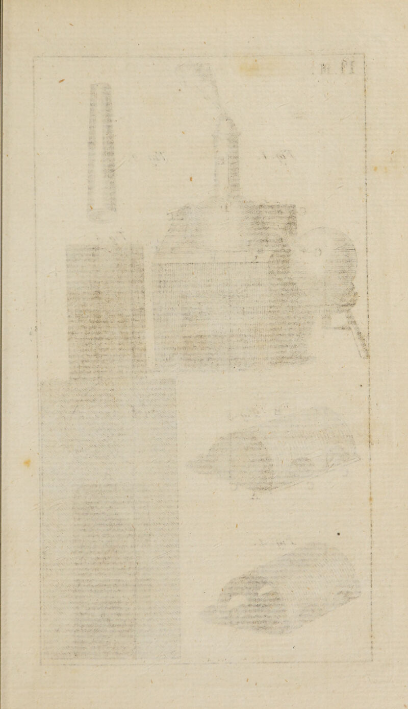 I v: J-' • V 's -T-> .-•V,v • ^ r;v - . :n - . r -.*• •• ft- ’ ,' V« . ■ ifeW ■■ i * ■ ‘-7. - z - ■ y : • Vi*' •••.•■• *•-., • .»>v ' ’> -v , - • ■ .'V.* ■ .*-r • .' v • .^K' -, • .v<v-' •;Vv J. ... fi: ' ... . ■ . « • ■5 j-St.'- -'v-v';’ . ‘ .-■***« _ r * ■ '•■• ' • ■' - i/ ■ • ? ‘ ..*•'■**$& -v.’v **T' '• 14 •<■•*** - • • Vi-. • • ... ; Vy-- ’ ? •• - • ■ • >• '• O'. ' * v«- . ■ ... - ■. ; ; - • '.V- ■ . ; > ij. .'ï'iV. ‘ .*•<• • .• -. r •• ' • «*. $ ' - ■. . • -  -• . • ... . •: . . ■ • V - •. , .. • ■ : * f : , f' ; 1 ' ' j- v . . .ff • ■ .-iw.. , ! ! { • t *, ‘-V î - Î - » , ' ^5 i •^,5 'T1 '..-n I ! > ii. >V i i ? ?- ■j'.\ ' j \_V ..ft ■ • **• **o • - >“* ■'*: . -* •. . -v . • • • '■ •••• ' ■;> ••; . <»-- < •'•* . I 1 • rt-V u' i . , ..v*vrv *• * • ' '>v -•*!. :^..v : , »'•> ■» •'. r 1 • - 4/^5^ Atv I