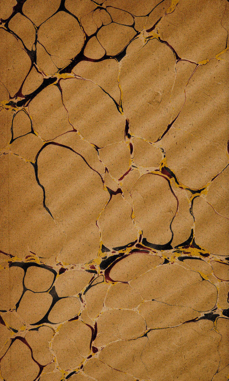 No text description is available for this image