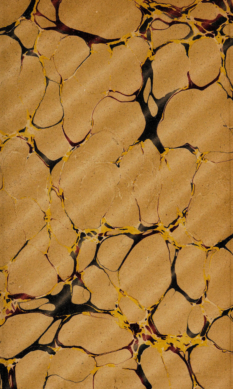 No text description is available for this image