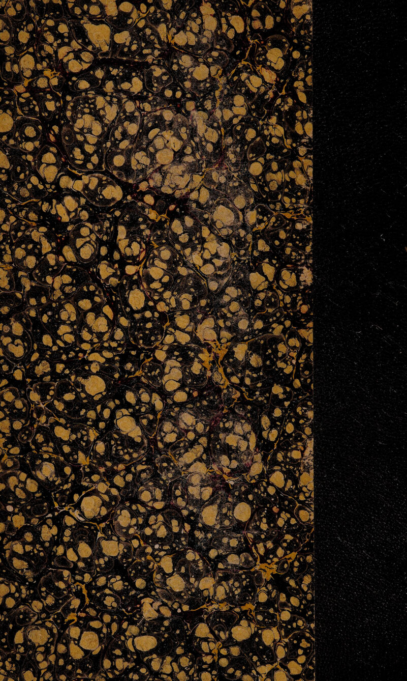 dm -' '■\ ■ m. S2E2; i ♦ ’ 'yw^ar-iï t j'À ;*• uW*î* ** 1/ ^ ^ W'' ' il a \ éltÊfW- W %l;:.. ‘. */•,'. .1 « tim# W . f