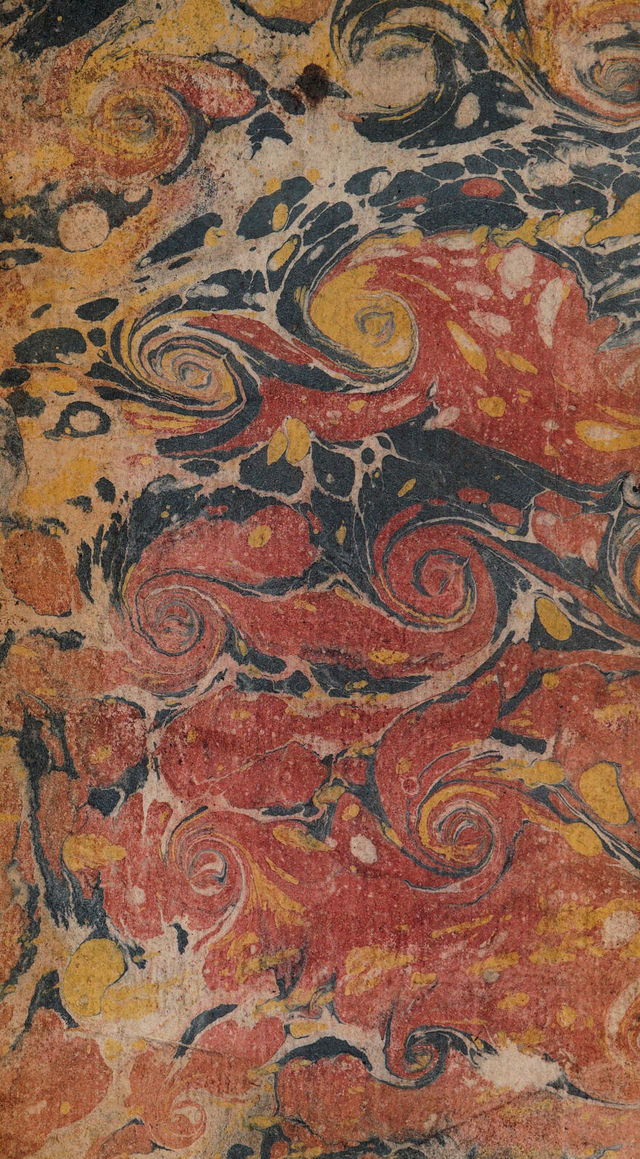 No text description is available for this image