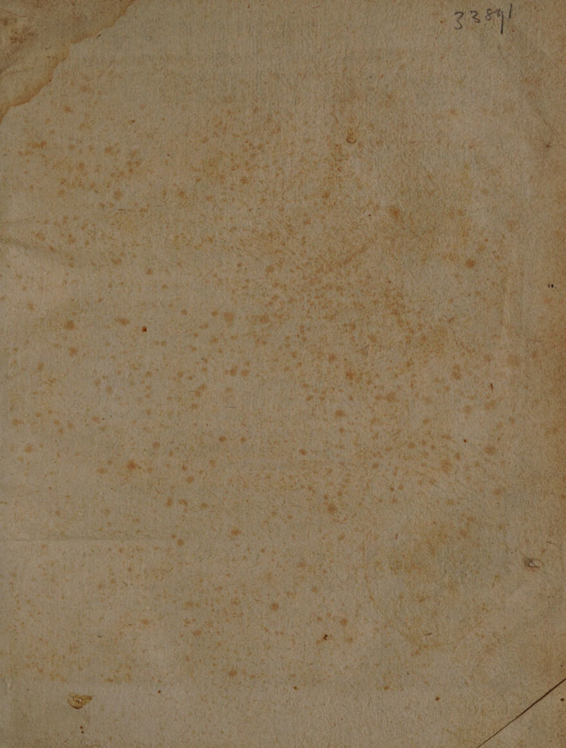 AS