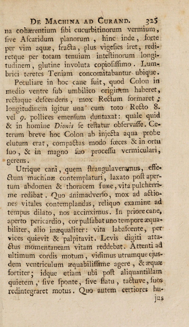 na cohaerentium fibi cucurbitinorum vermium, live Afcaridum planorum , hinc inde, forte per vim aquae, frafta, plus vigefies iret, redi- retque per totam tenuium inteftinomm longi¬ tudinem , glutine involuta copiofiffimo . Lum* brici teretes Teniam concomitabantur ubique. Peculiare in hoc cane fuit, quod Colon in medio ventre fub umbilico origirfem haberet, redfaque defbendens , mox Redlum formaret ; longitudinem igitur una' cum toto Re6fo 8. vel r?. pollices emenfum duntaxat: quale quid & in homine Dionis fe teftatur obiervaffe. Ce¬ terum breve hoc Colon ab injefta aqua ^ probe elutum erat, compadias modo fceces & in ortu luo, & in magno fuo proceifu vermiculari, gerens. Utrique cani, quem ftrangulavera»mus, effe^ 6fum machinse contemplaturi, laxato pofl aper¬ tum abdomen & thoracem fune, vita pulcherri* me redibat . Quo animadverib, mox ad adtio- nes vitales contemplandas, reliquo examine ad tempus dilato, nos accinximus. In priore cane, aperto pericardio, cor pulfabat uno tempore aequa¬ biliter, alio inaequaliter: vita labafcente, per vices quievit & palpitavit. Levis digiti atta- &us momentaneam vitam reddebat. Attenti ad ultimum cordis motum, vidimus utrumque ejus¬ dem ventriculum aequabilifiime agere , & aeqme fortiter* idque etiam ubi poft aliquantillum quietem ,‘ live lponte, five flatu, tadluve, luos redintegraret motus. Quo autem certiores hu¬ jus