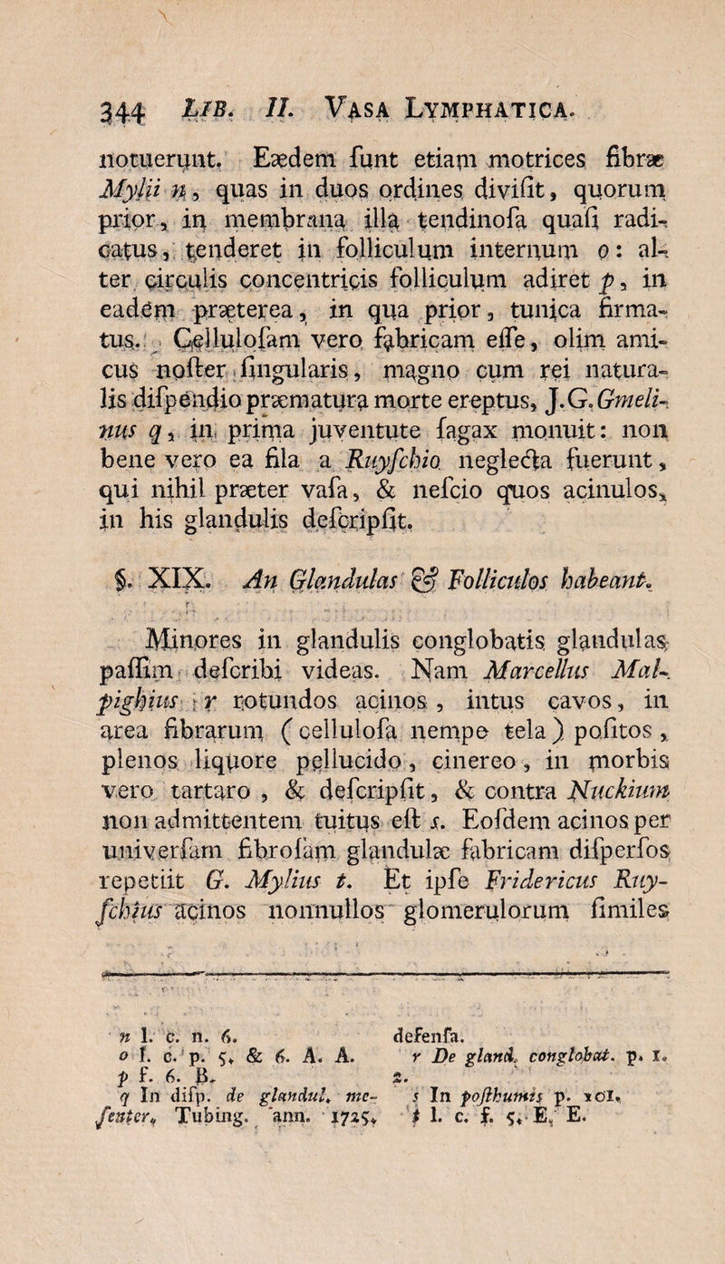 notuerunt. Eaedem funt etiam motrices fibrae Mylli n, quas in duos ordines divifit, quorum prior 3 in membrana ilia tendinofa quali radi¬ catus, tenderet in folliculum internum o: al¬ ter circulis concentricis folliculum adiret p, in eadem praeterea, in qua prior, tunica firma¬ tus. Gei lui olam vero, fabricam effe, olim ami¬ cus nollet lingularis, magno cum rei natura¬ lis difpendio praematura morte ereptus, J.G&gt;Gmeti¬ nus q, in prima juventute fagax monuit: non bene vero ea fila a Ruyfchio negledla fuerunt „ qui nihil praeter vafa, &amp; nefeio quos acinulos* in his glandulis defcripflt. 5. XIX. An Glandulas &amp; Folliculos habeant. Minores in glandulis conglobatis, glandulas paffim deferibi videas. Nam Marcellus Mal~ pighius r r rotundos acinos , intus cavos, in area librarum ( cellulofa nempe tela ) poiitos, plenos liquore pellucido, cinereo, in morbis vero tartaro , &amp; defcripfit, &amp; contra Nuckium non admittentem tuitus eft s. Eofdem acinos per imiverfam fibrofain glandulae fabricam difperfos repetiit G. My litis t. Et ipfe Fridericus Ruy- fchtus acinos nonnullos glomerulorum fimiles Cfwvmt 1 ■ n. —I II ■■■ n,.i I ■« tm I ■ ■ ■■■ &lt;*•» « ■■ ■« «MI I ■»-&gt; ■ * ■; • • * - • n 1. c. n. 6. defenfa. o f. c. p. &amp; 6. A. A. r De glaniL conglobat, p. I, p f. 6. B, 2. q In difp. de glmdul«. mc~ s In fo/lhutms p. *ol«s fmtw* Tubing. ann. 17i 1. c. f. E, E.