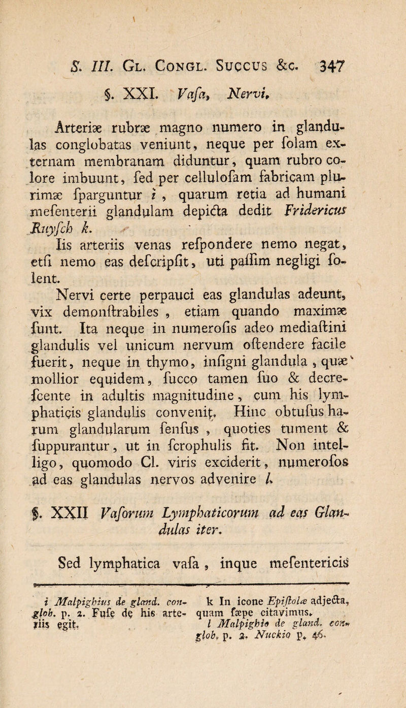 §. XXL Vcifa, Nervi, Arteriae rubrx magno numero in glandu¬ las conglobatas veniunt, neque per folam ex¬ ternam membranam diduntur, quam rubro co¬ lore imbuunt, fed per cellulofam fabricam plu¬ rimae fparguntur i , quarum retia ad humani mefenterii glandulam depidla dedit Fridericus Ruyfch k. Iis arteriis venas refpondere nemo negat, etfi nemo eas defcripfit, uti paffim negligi fo- lent. Nervi certe perpauci eas glandulas adeunt, vix demonftrabiles , etiam quando maximae funt. Ita neque in numerofis adeo mediaftini glandulis vel unicum nervum offendere facile fuerit, neque in thymo, infigni glandula , quae* 1* mollior equidem, fucco tamen fuo &amp; decre- fcente in adultis magnitudine, cum his lym¬ phaticis glandulis conveni^* Hinc obtufus ha¬ rum glandularum fenfus , quoties tument &amp; fuppurantur, ut in fcrophulis fit. Non intel- ligo, quomodo Cl. viris exciderit, numerofos ud eas glandulas nervos advenire L f. XXII Vaforum Lymphaticorum ad eas Glan¬ dulas iter. Sed lymphatica vafa , inque mefentericiiS 9*'™“ . —n...—^ ,i . i. i ■ i JHalpigbms de glcrnd. con- k In icone Epijlola ^dje&amp;a, glob. p. 2. Fufe de his arte- quam fepe citavimus* jrii$ egit. / Malgighio de gland. con* glob9 p. st. Nuckio p* 46.