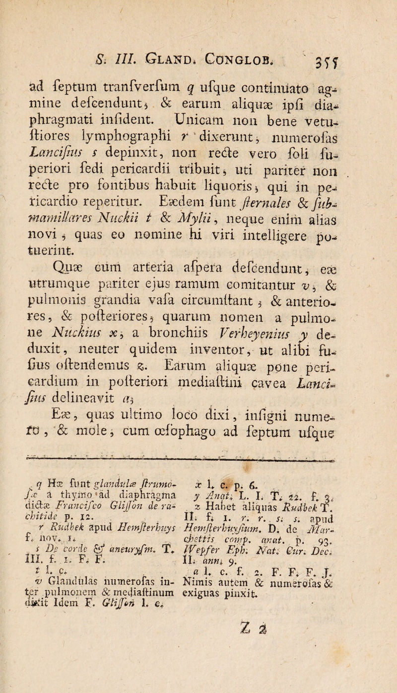 S. III. Gland* Gonglob.  3yj ad feptum tranfverfum q ufque continuato ag¬ mine defcendunt* &amp; earum aliquae ipfi dia¬ phragmati infident. Unicam non bene vetu- ftiores lymphograplii r dixerunt, numerofas Lancifnis s depinxit, non re&amp;e vero foli fu- periori fedi pericardii tribuit* uti pariter non recte pro fontibus habuit liquoris * qui in pe¬ ricardio repetitur. Eaedem funt fternales &amp; fiib- mamillares Nuckii t &amp; Mylii, neque enim alias novi * quas eo nomine hi viri intelligere po^ tuerint. Quae cum arteria afpera defccnduiu, ese utrumque pariter ejus ramum comitantur v, &amp; pulmonis grandia vafa circumitant * &amp; anterio¬ res, &lt;&amp; pofteriores* quarum nomen a pulmo¬ ne Nuckius x, a bronchiis Verheyenius y de¬ duxit, neuter quidem inventor, ut alibi fu- fius oftendemus £. Earum aliquse pone peri¬ cardium in polteriori mediaftini cavea Lanci* Jius delineavit Ex, quas ultimo loco dixi, infigrii nume- to , &amp; mole, cum cefophago ad feptum ufque q funt glandula ftrumo- x L c. p. 6. A a thyino «ad_ diaphragma y Anati L. I. T* H. g 3, dicta Fruncifco GlijJon de ra- 2 Habet aliquas Rudbek T. chitide p. 12. . II. fi 1. r. r. s; s. apud r Rudbek apiul Hemfterhuys Hemjlerhuyjimn. D. de Mar- f nov. ii ohettis coni]), an at. b. 93. . * corde &amp; aneuryfm. T. Weffer Ephi Nat: Gur. De c. III. f- . I- Fi F. Ili anni 9. i l P* a l c. f. 2. F. Fi F, f. v Glandulas numerofas in- Nimis autem &amp; numerofas &amp; ter pulmonem &lt;fcmei}iaftinum exiguas pinxit,
