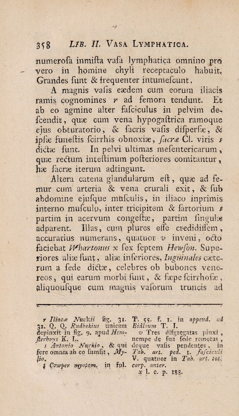 numerofa inmifta vafa lymphatica omnino pro vero in homine chyli receptaculo habuit, Grandes funt &amp; frequenter intumefcunt, A magnis vails eaedem eum eorum iliacis ramis cognomines r ad femora tendunt. Et ab eo agmine alter fafciculus in pelvim de-, fcendit, quae cum vena hypogaftriea ramoque ejus obturatorio, &amp; facris vafis difperfae, (St¬ ipite funeftis fcirrhis obnoxiae, fucra Cl. viris r diche Eunt. In pelvi ultimas mefentericarum 5 quae rectum inteftinum pofteriores comitantur, hae facrae iterum adtingunt. Altera catena glandularum eft, quae ad fe¬ mur cum arteria &amp; vena crurali exit, &amp; fub abdomine ejufque mufciilis, in iliaco inprimis interno mufculp, inter tricipitem &amp; fartorium t partim in acervum congefhe, partim lingulas adparent. Illas, cinn plures eife credidiliem, accuratius numerans, quatuor- v inveni, odio faciebat Whartonus x fex feptem Hewfon. Supe¬ riores aliae funt, aliae inferiores. Inguinales cacte- rum a fede diclae, celebres ob bubones vene- reos a qui earum morbi funt, &amp; facpe fcirrhofe , frliquQufque cum magnis vaforum truncis ad g —v-r~— —”■—rr t-—' ■■.■■^.7———■ r Iliaca Ntickii fig. 3i. T. ^5. f. 1. in append. ad 32. Q. Q.. Rudbekius unicam Bidloum T. I. depinxit in fig„ 9. apud Hem- v Tres dlfgregatas pinxi, Jterhuys K. L. nempe de fna fede remotas , j Antonio Nuckio, &amp; qui deque vafis pendentes, in fere omnia ab eo fumfit, My- Tab. ari. ped. 1. fajciadi \io&gt; V. quatuor in Tab. qrt. tot, | Cowper it$yofqwx in fpl. corp. anter. cX 1. c. p. XS3® * *