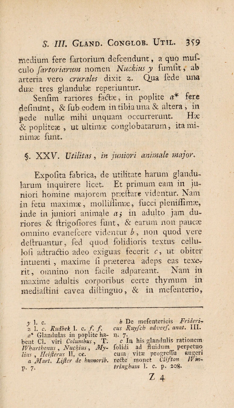 medium fere fartorium defcendunt, a quo muC- culo fartor i arum nomen Muckms y furnilt, ab arteria vero crurales dixit 3. Qua iede una duae tres glandulae reperiuntur. Senfim rariores facte 5 in poplite a* fere definifnt, &amp; fub eodem in tibia una &amp; altera , in pede nullae mihi unquam occurrerunt. Hae &amp; popliteae , ut ultimae conglobatarum, ita mi¬ nimae funt. §. XXV. Utilitas, in juniori animale major. i &gt; Expolita fabrica, de utilitate harum glandu¬ larum inquirere licet. Et primum eam in ju¬ niori homine majorem praetere videntur. Nam in fetu maximae, mollii limae, fucci pleniffimae, inde in juniori animale a j in adulto jam du¬ riores &amp; itrigofiores funt, &amp; earum non paucae omnino evanefcere videntur b, non quod vere delimantur, fed quod (olidioris textus cellu- loli adtraclio adeo exiguas fecerit c, ut obiter in tuenti , maxime ii praeterea adeps eas texe?' rit, omnino non facile adpareant. Nam in maxime adultis corporibus certe thymum in mediaftini cavea diftinguo, &amp; in mefenterio. y 1 # Q* z 1. c. Rudbek 1. c. f. f. a* Glandulas in poplite ha¬ bent Cl. viri Columbus, T. Wharthonus , Nuckius , My¬ this , Heiftcrus 11, ce. a Mart, lijlcr de bumorib. P- 7* b De mefentericis Frideri- cus Ruyfch adverf. emat. IIL il. 7- c In his glandulis rationem folidi ad fluidum perpetuo cum vitas progrefFu augeri re 61 e monet Clifton IVm-* tringham 1. c. p. 208.
