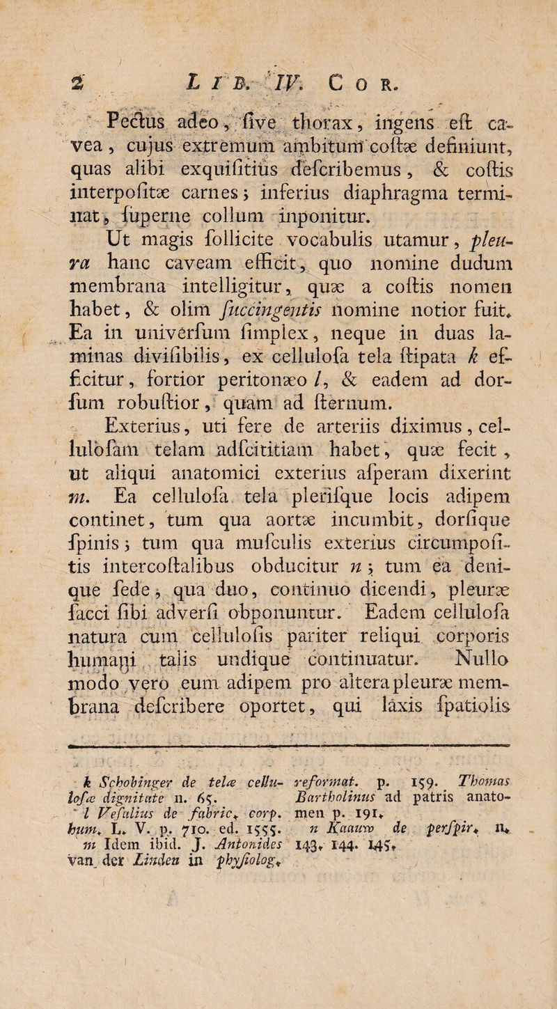 Peclus adeo, five thorax, ingens eft ca¬ vea , cujus extremum ambitum coifee definiunt, quas alibi exquifitius defcribemus, & cohis interpofitae carnes; inferius diaphragma termi- nat* iuperne collum inponitur. Ut magis follicite vocabulis utamur, pleu¬ ra hanc caveam efficit, quo nomine dudum membrana inteiligitur, qux a cohis nomen habet, & olim /'accingentis nomine notior fuit» Ea in univerfum fimplex, neque in duas la¬ minas divifibilis, ex cellulofa tela hipata k ef¬ ficitur , fortior peritoneo /, & eadem ad dor- fum robuhior, quam ad hernum. Exterius, uti fere de arteriis diximus, cel- lulbfam telam adfcititiam habet, qux fecit , ut aliqui anatomici exterius afperam dixerint m. Ea cellulofa tela plerifque locis adipem continet, tum qua aortx incumbit, dorfique fipinis; tum qua mufculis exterius circumpoli¬ tis intercohalibus obducitur n; tum ea deni¬ que fiede, qua duo, continuo dicendi, pleurse facci libi adverfi obponuiitur. Eadem cellulofa natura cum cellulofis pariter reliqui corporis humagi talis undique continuatur. Nullo modo vero eum adipem pro altera pleurae mem¬ brana defcribere oportet, qui laxis fpatiolis k Schohinger de tela cellu- reformat, p. 159. Thomas lofa dignitate 11. 6$. Bartholinus ad patris anato- l Vefalius de fabrict corp. men p. 191» huni„ L. V. p. 710. ed. 1555. n Kaauvo de perfpir* n* m Idem ibid. J. Antonides 143» 144. 14;» vari der Linden in phyjiolog*