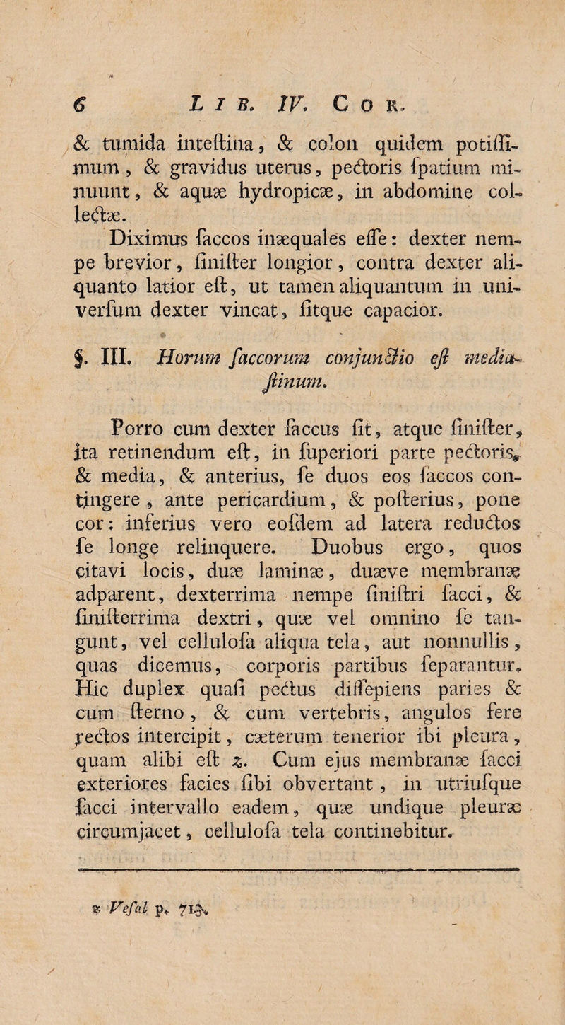 !*■ & tumida inteftina, & colon quidem potiffi- tnum , & gravidus uterus, pedoris fpatium mi¬ nuunt, & aquae hydropicae, in abdomine coi- ledae. Diximus faccos inaequales efle: dexter nem¬ pe brevior, finifter longior, contra dexter ali¬ quanto latior eft, ut tamen aliquantum in uni- verfum dexter vincat, fitque capacior. f. III, Horum fciccorum conjun&io eft media- fimum. Porro cum dexter faccus fit, atque finifter, ita retinendum eft, in fuperiori parte pedoris*! & media, & anterius, fe duos eos iaccos con¬ tingere , ante pericardium, & pofterius, pone cor: inferius vero eofdem ad latera redudos fe longe relinquere. Duobus ergo, quos citavi locis, duae laminae, duaeve membranae adparent, dexterrima nempe finiftri iacci, 8c fimfterrima dextri, quae vel omnino fe tan¬ gunt , vel cellulofa aliqua tela, aut nonnullis, quas dicemus, corporis partibus feparantur. Hic duplex quafi pedus dilfepiens paries & cum fterno, & cum vertebris, angulos fere jredos intercipit, caeterum tenerior ibi pleura, quam alibi eft z. Cum eius membranae facci exteriores facies fibi obvertant, in utriufque facci intervallo eadem, quae undique pleurae circumjacet, cellulofa tela continebitur. * Vefal p* 7i-3v