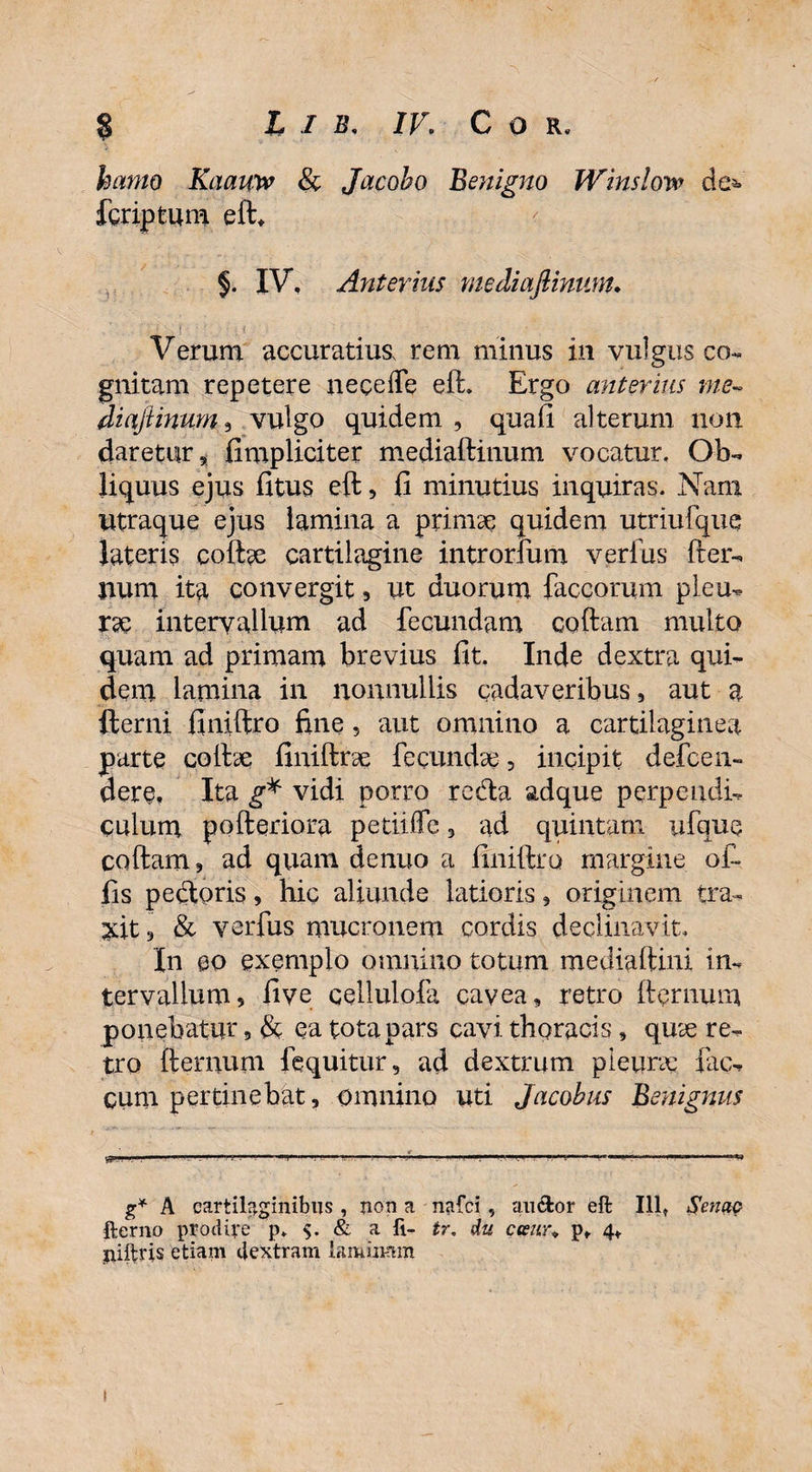 Iwwo Kaauw & Jacobo Benigno Winslovo de*» fgriptum eft, §. IV, Anterius mediafiinum. Verum accuratius, rem minus in vulgus co¬ gnitam repetere neeeffe eft. Ergo anterius me- diaftinum, vulgo quidem , quali alterum non daretur, fimpliciter mediaftinum vocatur. Ob¬ liquus ejus fitus eft, fi minutius inquiras. Nam utraque ejus lamina a primae quidem utriufqne lateris coftae cartilagine introrfum verius fter- jium ita convergit, ut duorum faccorum pleu¬ rae intervallum ad fecundam coftam multo quam ad primam brevius fit. Inde dextra qui¬ dem lamina in nonnullis cadaveribus, aut a fterni finiftro fine , aut omnino a cartilaginea parte coibe finiftree fecundae, incipit defcen- dere, Ita g* vidi porro reda adque perpendi¬ culum pofteriora petiiffe 3 ad quintani ufque coftam, ad quam denuo a finiftro margine of¬ fis pedoris, hic aliunde latioris, originem tra¬ xit 3 & verfus mucronem cordis declinavit. In eo exemplo omnino totum mediaftini in¬ tervallum, five cellulofa cavea, retro fternum ponebatur, & ea tota pars cavi thoracis, qux re¬ tro fternum fequitur, ad dextrum pleurae fae¬ cum pertinebat, omnino uti Jacobus Benignus g* A cartilaginibus, non a nafei, aii&or eft 111, Senae fterno prodire p* $. & a fi- tr. du esenu p, 4, piftris etiam dextram laminam 1
