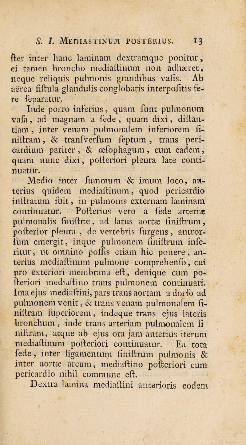 fler inter hanc laminam dextramque ponitur, ei tamen broncho mediaftinum non adhaeret, neque reliquis pulmonis grandibus vafis. Ab aerea fiftula glandulis conglobatis interpofitis fe¬ re feparatur. Inde porro inferius, quam funt pulmonum vafa, ad magnam a fede, quam dixi, diftan- tiam, inter venam pulmonalem inferiorem fi- niftram, & tranfverlum feptum, trans peri¬ cardium pariter , & oefophagum, cum eadem, quam nunc dixi, pofteriori pleura late conti¬ nuatur. Medio inter fumrnum & imum loco, an¬ terius quidem mediaftinum, quod pericardio inftratum fuit, in pulmonis externam laminam continuatur. Pofterius vero a fede arteriae pulmonalis ftniftrae, ad latus aortae finiftrum, pofterior pleura , de vertebris furgens, antror- fum emergit, inque pulmonem finiftrum infe- ritur, ut omnino poliis etiam hic ponere, an¬ terius mediaftinum pulmone comprehenfo, cui pro exteriori membrana eft, denique cum po¬ fteriori mediaftino trans pulmonem continuari. Ima ejus mediaftini, pars trans aortam adorio ad pulmonem venit, & trans venam pulmonalem fi- niftram fuperiorem, indeque trans ejus lateris bronchum, inde trans arteriam pulmonalem fi niftram, atque ab ejus ora jam anterius iterum mediaftinum pofteriori continuatur. Ea tota fede, inter ligamentum finiftrum pulmonis & inter aortae arcum, mediaftino pofteriori cum pericardio nihil commune eft. Dextra lamina mediaftini anterioris eodem