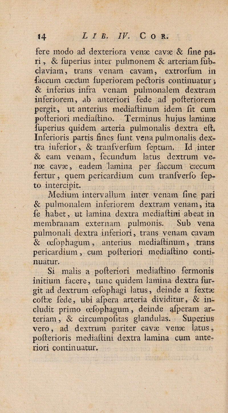 fere modo ad dexteriora venae cavae & fine pa* ri , & fuperius inter pulmonem & arteriam fub- ciaviam, trans venam cavam, extrorfum in. faecum caeciun fuperiorem pedoris continuatur \ & inferius infra venam pulmonalem dextram inferiorem, ab anteriori fede ad pofteriorem pergit, ut anterius mediaftinum idem fit cum pofteriori mediaftino. Terminus hujus laminae fuperius quidem arteria pulmonalis dextra eft. Inferioris partis fines funt vena pulmonalis dex¬ tra inferior, & tranfverfum feptum. Id inter & eam venam, fecundum latus dextrum ve¬ nae cavae, eadem lamina per faecum caecum fertur, quem pericardium cum tranfverfo fep- to intercipit. Medium intervallum inter venam fine pari & pulmonalem inferiorem dextram venam, ita fe habet, ut lamina dextra media ftini abeat ili membranam externam pulmonis. Sub vena pulmonali dextra inferiori, trans venam cavam & cefophagum, anterius mediaftinum, trans pericardium, cum pofteriori mediaftino conti¬ nuatur. Si malis a pofteriori mediaftino fermonis initium facere, tunc quidem lamina dextra fur- git ad dextrum oefophagi latus, deinde a fextse cofbe fede, ubi afpera arteria dividitur, & in¬ cludit primo cefophagum, deinde gfperam ar¬ teriam, & circumpofitas glandulas. Superius vero, ad dextrum pariter cavse venx latus 5 pofterioris mediaftini dextra lamina cum ante¬ riori continuatur»