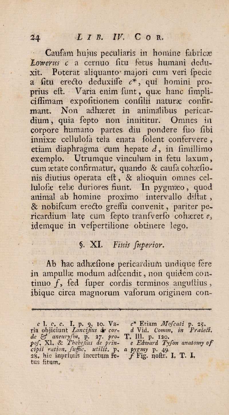 Caufam huiiis peculiaris in homine fabricae Lowerus c a cernuo litu fetus humani dedu¬ xit. Poterat aliquanto* majori cum veri fpecie a litu eredo deduxiffe c*,' qui homini pro¬ prius eft. Varia enim funt, quae hanc fimpli- ciffimam expolitionem confilii naturae confir¬ mant. Non adhaeret in animalibus pericar¬ dium, quia fepto non innititur. Omnes in corpore humano partes diu pondere fuo libi innixae cellulofa tela enata folent confervere , etiam diaphragma cum hepate in limillimo exemplo. Utrumque vinculum in fetu laxum, cum aetate confirmatur, quando & caufe cohaefio- nis diutius operata efi:, & alioquin omnes cel- iulofae telae duriores fiunt. In pygmaeo, quod animal ab homine proximo intervallo diftat , & nohifcum eredo grefiix convenit, pariter pe¬ ricardium late eum fepto tranfverfo cohaeret e, idemque in vefperfcilione obtinere lego, 5. XI. Finis fuperior. Ab hac adhaefion® pericardium undique fere in ampullae modum adfcendit, non quidem con¬ tinuo /, fed fiiper cordis terminos anguttius ? ibique circa magnorum vaforum originem con- c i * * ■ ff»1 . ■■■y,. . .......r .... . . ■ ■ c I. 0, c. I* p, 9, 10. Va- c* Etiam Mofcati p. 25«. pa objiciunt Lancijius de cor- d Vid. Commf in FraleSt, de & ctneuryfm. p. 27. pro- T. 111. p. 120. $oA XI. & Thehefius dc prin- e Edward Tyfon anatomy of cipii rution*. fuffic* uiilit. p, a pygmy p. 49, 28«- hic inpripiis incertum fe- f Fjg. noltr. If T- li¬ tus litum*