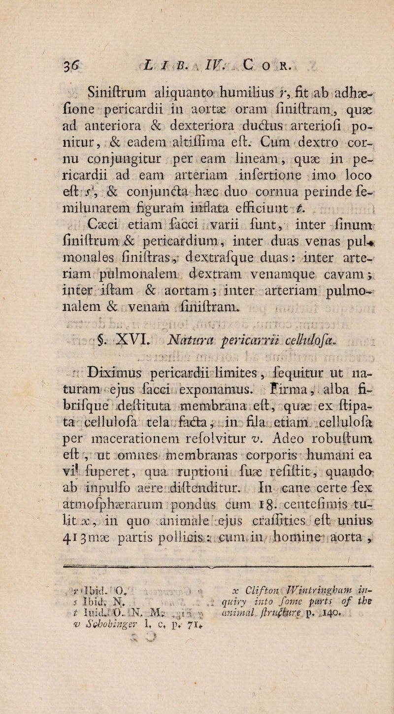 Siniftrum aliquanto humilius r, fit ab adhae- fione pericardii in aortae oram finiftram., qu3e ad anteriora & dexteriora ducftus arteriofi po¬ nitur, & eadem altiffima eft. Cum dextro cor¬ nu conjungitur per eam lineam, quse in pe¬ ricardii ad eam arteriam infertione imo loco eft j, & conjuncta hsec duo cornua perinde fe- milunarem figuram inflata efficiunt t. Cseci etiam facci varii funt, inter finum finiftrum & pericardium, inter duas venas puU monales finiftras, dextrafque duas: inter arte¬ riam pulmonalem dextram venamque cavam; inter iftam & aortam; inter arteriam pulmo¬ nalem & venam finiftram. •§. XVL Natura pericarrii cellulofa, . ' ''1 7; ’ : '' , Diximus pericardii limites, 1 equitur ut na¬ turam ejus facci exponamus. Firma,. alba fi¬ bri {que deftituta membrana eft, quae ex ftipa- ta cellulofa tela facta, in fila etiam cellulofa per macerationem refolvitur v. Adeo robuftum eft , ut omnes membranas corporis humani ea vfi fuperet, qua ruptioni fuse refiftit, quando ab inpulfo aere difteiiditur. In cane certe fex atmofphcerarum pondus cum 18- centefimis tu¬ lit x, in quo animale ejus crafiities eft unius 4*3 mae partis pollicis: cum in homine aorta , .r Clifton Wintringhum in- : quiry into forne parts of the r 0+ 5 Ibidv N. t lukU ‘O.. .N. M. ...r- animal ftnflnre . 140. v Stfjobinger 1» c\ \\ 71*.