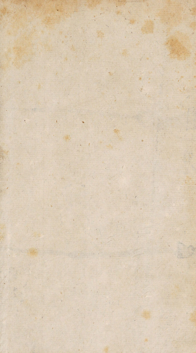 *? ('■ ! s\ 1- V y 'r ' * \ ) r \ -Ot ( \ \ ? i \ \ 9 .