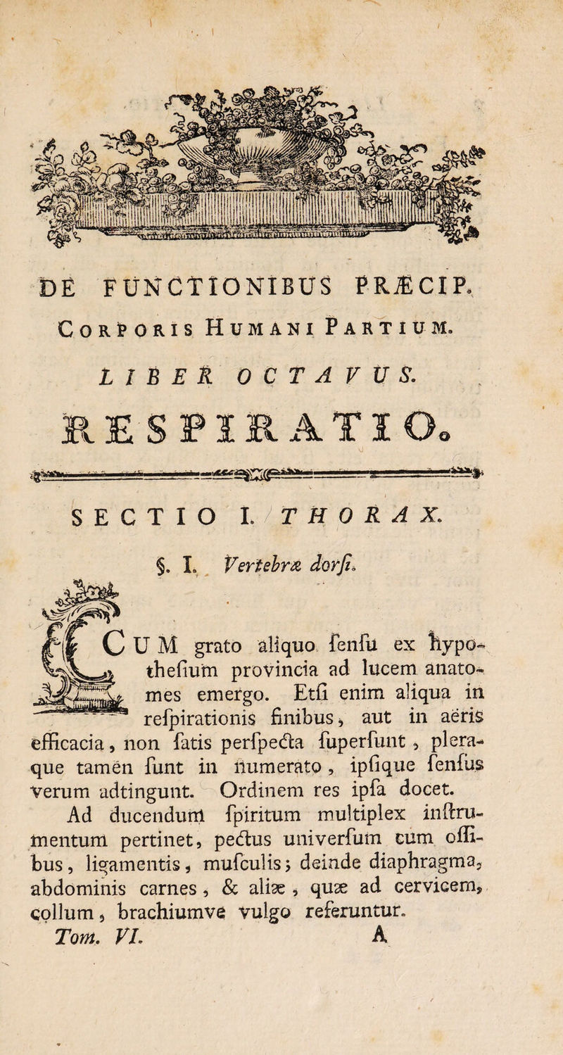 DE FUNCTIONIBUS PRJECIP, CorIporis Humani Partium. LIBER OCTAVUS. RESPIRATIO. \J ' .■■ — .::■ ja&Sfr i SECTIO 1.1T H 0 R A X §. L Vertebra dor fi. U M grato aliquo fenfu ex hypo- thefium provincia ad lucem anato- mes emergo. Etfi enim aliqua in refpirationis finibus, aut in aeris efficacia, non fatis perfpedta fuperfunt , plera¬ que tamen funt in numerato , ipfique fenfus Verum adtingunt. Ordinem res ipfa docet. Ad ducendunl fpiritum multiplex inficru- mentum pertinet, pedtus univerfum cum offi- bus, ligamentis, mufculis; deinde diaphragma, abdominis carnes, & alise , quse ad cervicem, collum 5 brachiumve vulgo referuntur. Toni. VI. A