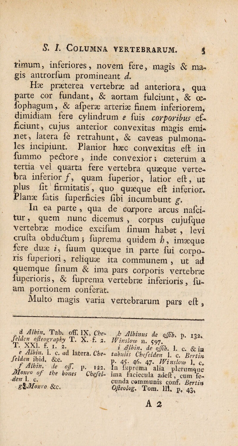 & t. Columna vertebrarum* $ fimum, inferiores, noveni fere, magis Sc ma¬ gis antrorfum promineant d. Hae praeterea vertebrae ad anteriora, qua parte cor fundant, & aortam fulciunt, & ce- fophagum, & afperae arteriae finem inferiorem, dimidiam fere cylindrum e fuis corporibus ef¬ ficiunt, cujus anterior convexitas magis emi* net, latera fe retrahunt, & caveas pulmona¬ les incipiunt. Planior haec convexitas eft in fummo pedore , inde convexior; caeteriim a tertia vel quarta fere vertebra quaeque verte¬ bra inferior/, quam fuperior, latior eft, ut plus fit firmitatis, quo quaeque eft inferior» Planae fatis iuperficies fibi incumbunt g. In ea parte , qua de corpore arcus nafci- tur, quem nunc dicemus , corpus cujufque Vertebrae modice excifum finum habet , levi crufta obdudum$ fuprema quidem h, imaeque fere duae i, fuum quaeque in parte fui corpo¬ ris fuperiori, reliquae ita communem , ut ad quemque finum & ima pars corporis vertebrae fuperioris, & fuprema vertebrae inferioris, fu- am portionem conferat, Multo magis varia vertebrarum pars eft , d Albin* Tabi ofC IX, Che- feldcn o/ieography T. X. -f. 2. T. XXL £ 1. 2. e Albin. 1. c. ad latera. Che» felden ibid, &c. f Albin. de ojf. p. nz. Monro 0f tbe bones Chefel- dtn 1. c. g\Monro &c. A Albinus de ojftb. p. 13^ fy inslow 11. $97^ i Albin. de ojjik. 1, c. & in tabulis Chefelden 1. c. Bevtin p. 45. 46. 47. Wi 7isloro L c» In fuprema alia plerumque ima faciecula adeft, cum fe¬ cunda communis conf. B?rtin OJleolog. Tom. llfi 43,