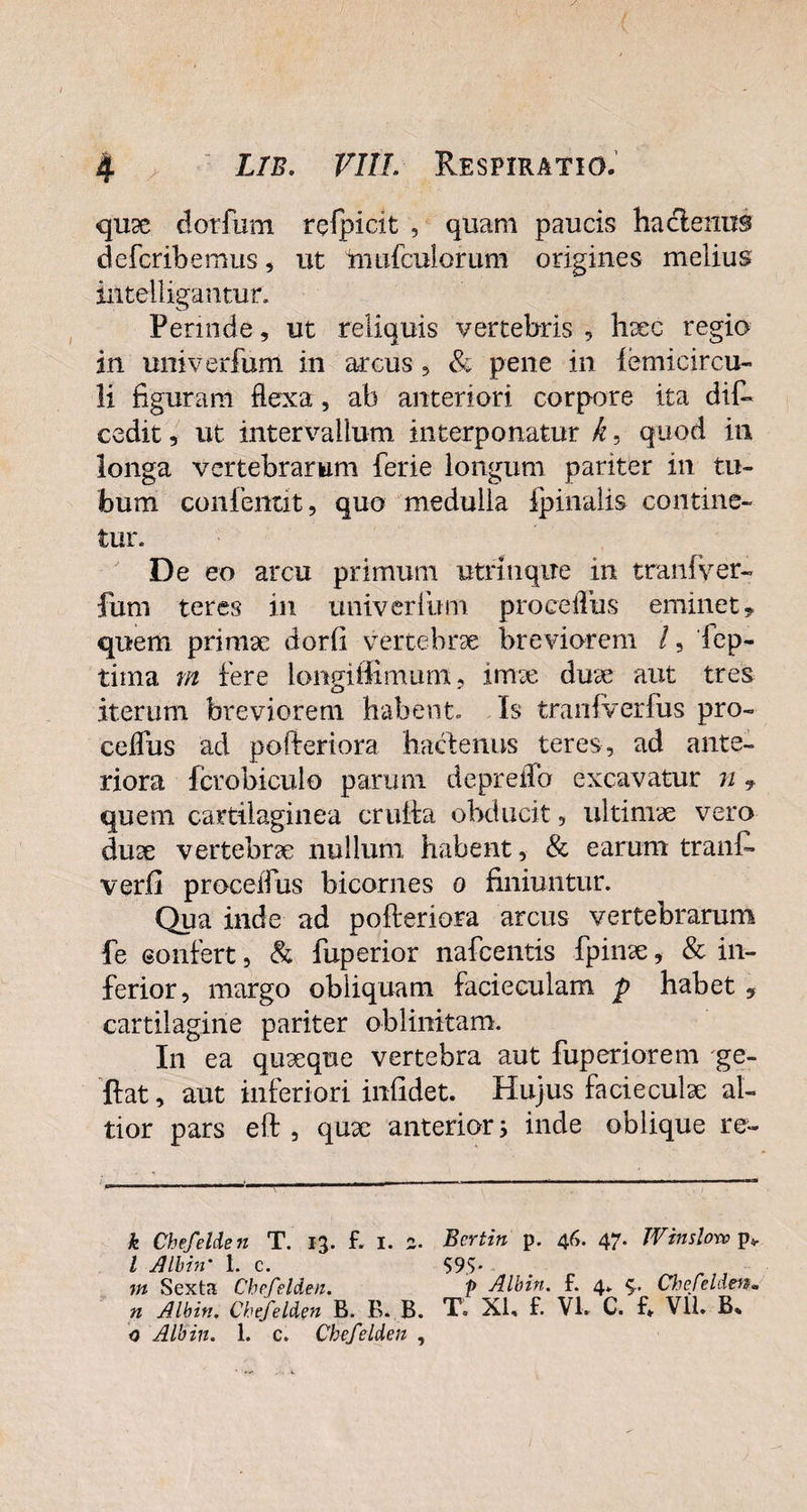 qux dorfum relpicit , quam paucis haclenus defcribemus, ut tnufculorum origines melius intelligantur. Perinde, ut reliquis vertebris , hxc regio in univerfum in arcus , & pene in lemicircu- li figuram flexa, ab anteriori corpore ita dif- cedit, ut intervallum interponatur k, quod in longa vertebrarum ferie longum pariter in tu¬ bum confentit, quo medulla ipinalis contine¬ tur. De eo arcu primum utmique in tranfyer- fum teres in univerfum procelfus eminet - quem primae dorfi vertebrae breviorem l, fep- tiina m fere longi Bimum, imae dux* 1 aut tres iterum breviorem habent. Is tranfverius pro- celfus ad pofteriora hactenus teres, ad ante¬ riora fcrobiculo parum deprelTo excavatur n , quem cartilaginea cruiia obducit, ultimae vero dux vertehrx nullum habent, & earum tranft verfi procelfus bicornes o finiuntur. Qua inde ad pofteriora arcus vertebrarum fe confert, & fuperior nafcentis fpinx, & in¬ ferior, margo obliquam facieculam habet , cartilagine pariter oblinitam. In ea quxque vertebra aut fuperior em 'ge- ftat, aut inferiori infidet. Hujus facieculx ali¬ tior pars eft , qux anterior j inde oblique re- k Chefelde n T. 13. f. 1. 2. Bertin p. 46- 47* Wtnslovo p* l Alhin' 1. c. 595* - . m Sexta Chefelden. p Alhin. f. 4* Chefeldm* n Alhin. Chefelden B. B. B. T. XI, f. VI. C. f» V1L B% 0 Alhin. 1. c. Chefelden ,