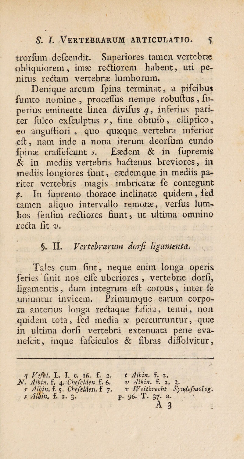 trorfum defcendit. Superiores tamen vertebrae obliquiorem , imae rediorem habent, uti pe¬ nitus redam vertebrae lumborum. Denique arcum fpina terminat, a pifcibus fumto nomine , procelfus nempe robuftus, fu- perius eminente linea divifus q, inferius pari- ter fulco exfculptus r, fine obtufo, elliptico, eo anguftiori , quo quaeque vertebra inferior eft, nam inde a nona iterum deorfum eundo fpinae craifefcunt s. Eaedem & in fupremis & in mediis vertebris hadenus breviores, in mediis longiores funt, eaedemque in mediis pa¬ riter vertebris magis imbricatae fe contegunt t. In fupremo thorace inclinatae quidem, fed tamen aliquo intervallo remotae, verfus lum¬ bos fenfim rediores fiunt > ut ultima omnino reda fit v. §. II. Vertebrarum dorfi ligamenta. Tales cum fint, neque enim longa operis feries finit nos elfe uberiores , vertebrae dorfi, ligamentis, dum integrum eft corpus, inter fe uniuntur invicem. Primumque earum corpo¬ ra anterius longa redaque fafcia, tenui, non quidem tota, fed media x: percurruntur, quae in ultima dorfi vertebra extenuata pene eva- nefcit, inque fafciculos & fibras diffolvitur. q Vefcil. L. I. C. 16. f. 2. JV. Albin. f. 4. Chefelden f. 6. r Albin. f. 5. Chefelden. f 7. $ Alhin. f. 2. 3. t Alhin. f. 2» <v Alhin. f. 2. 3. x JVeitbrecht Syndefmolog. ]). 96. T. 37* a* A 3